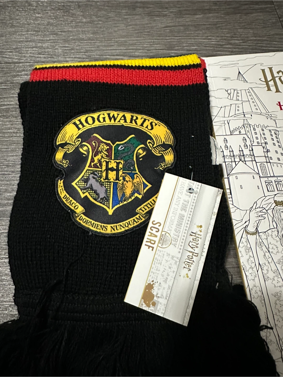 Harry Potter Hogwarts Scarf and Coloring Book Set - photo 2
