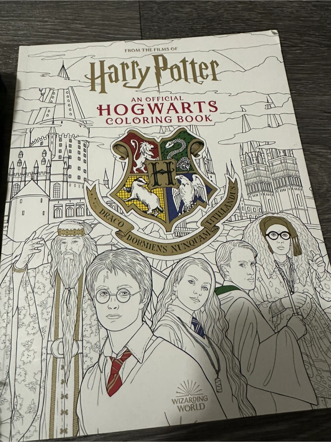 Harry Potter Hogwarts Scarf and Coloring Book Set - photo 3