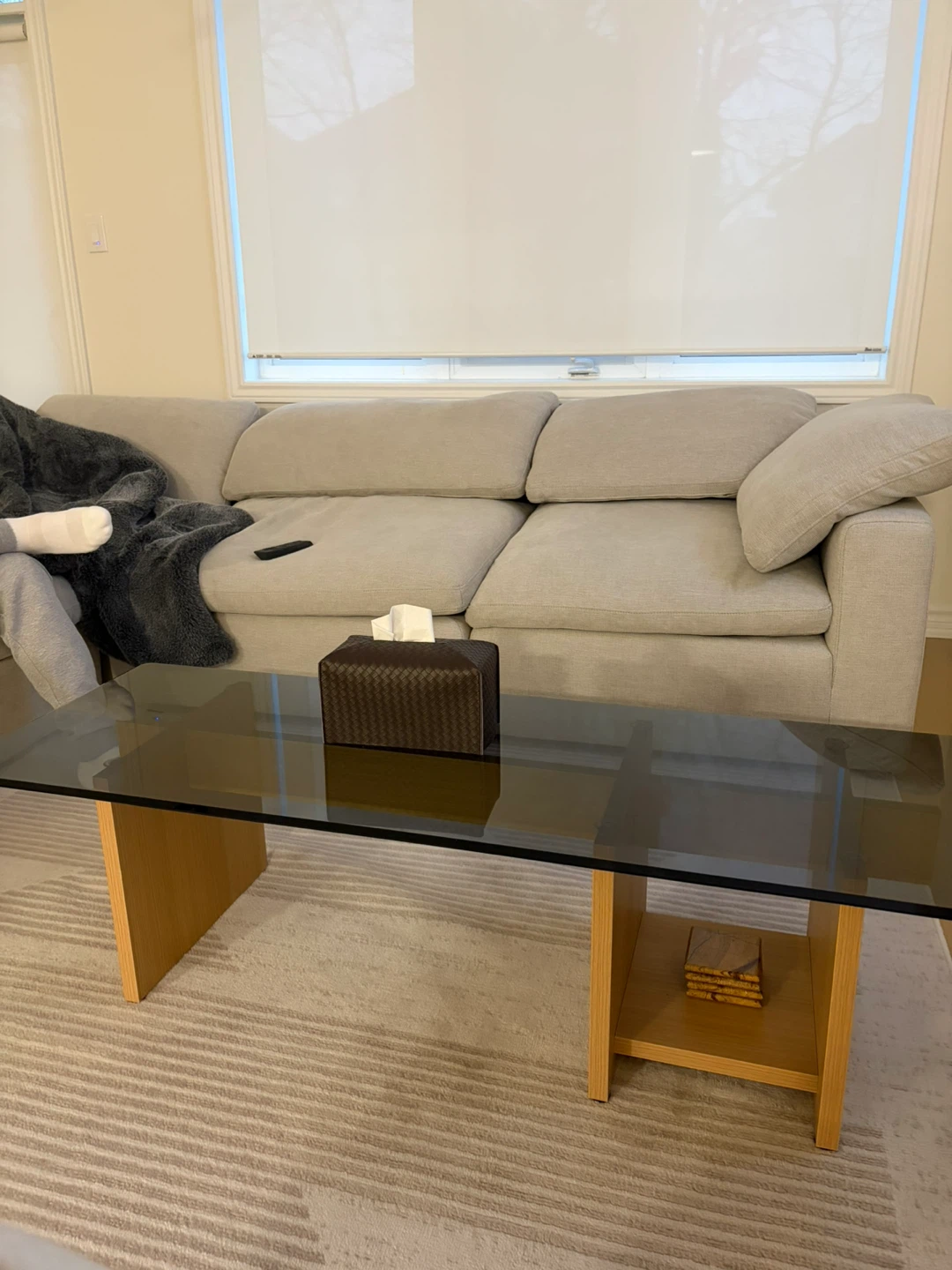 Glass and Wood Coffee Table