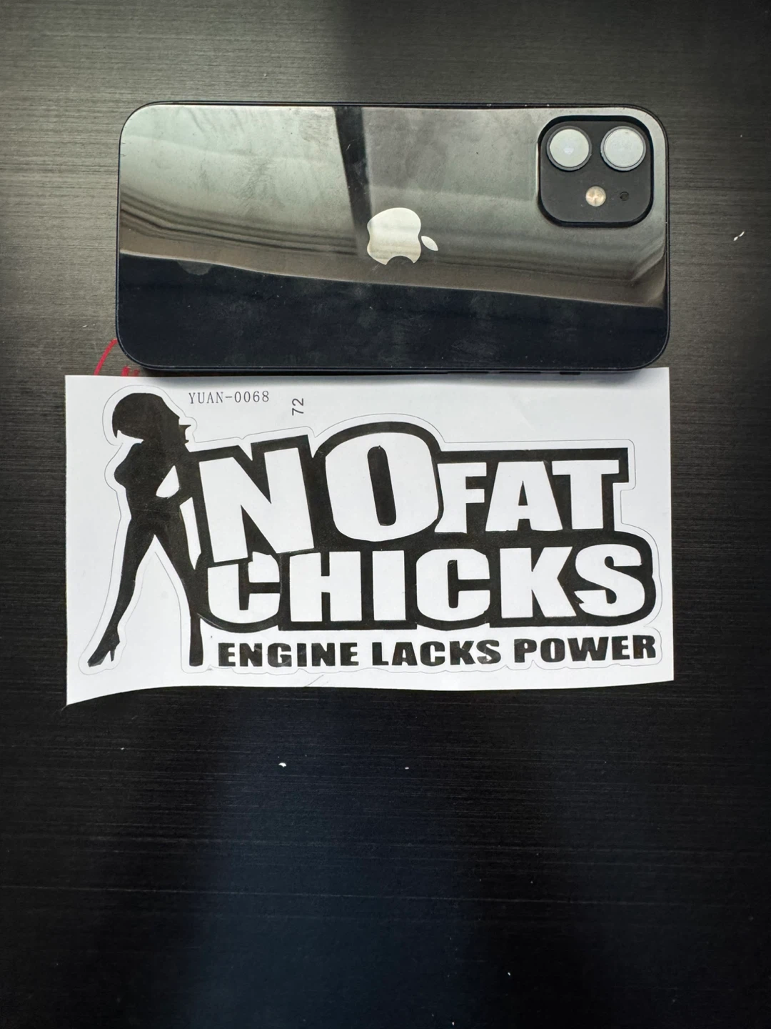 Funny JDM Car Sticker – No Fat Chicks – Engine Lacks Power - photo 2