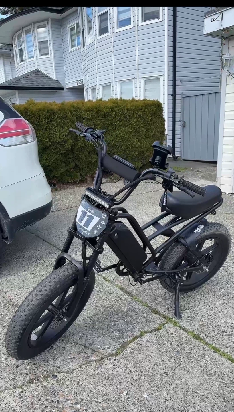 Ebike