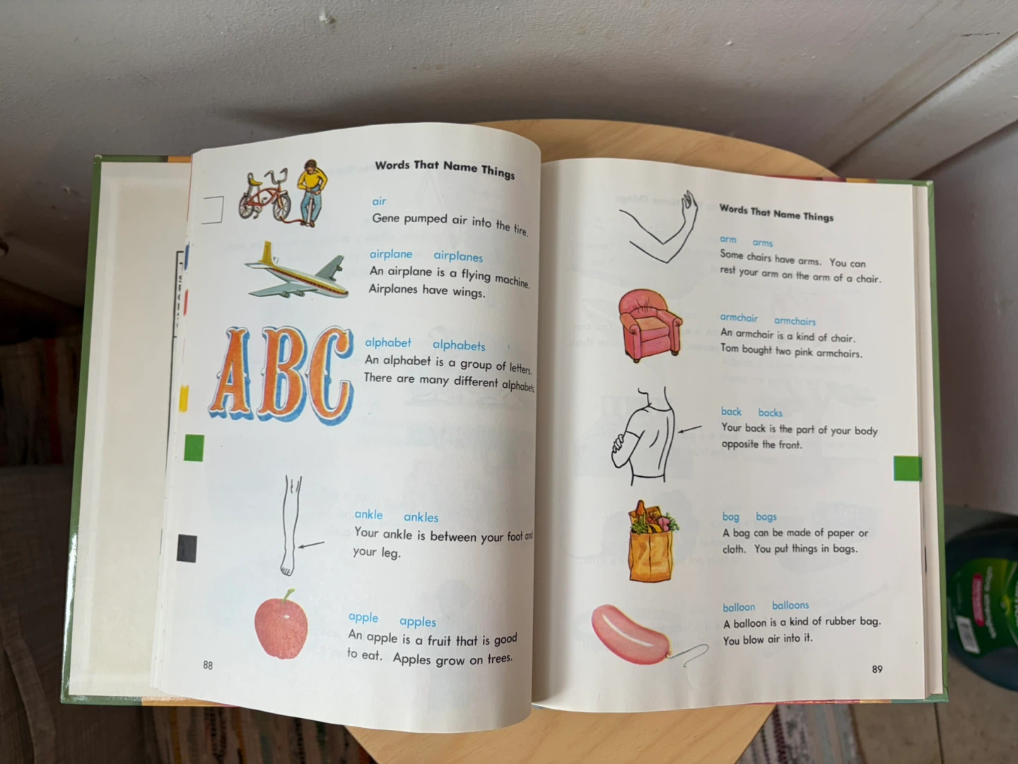 My first picture dictionary - photo 2