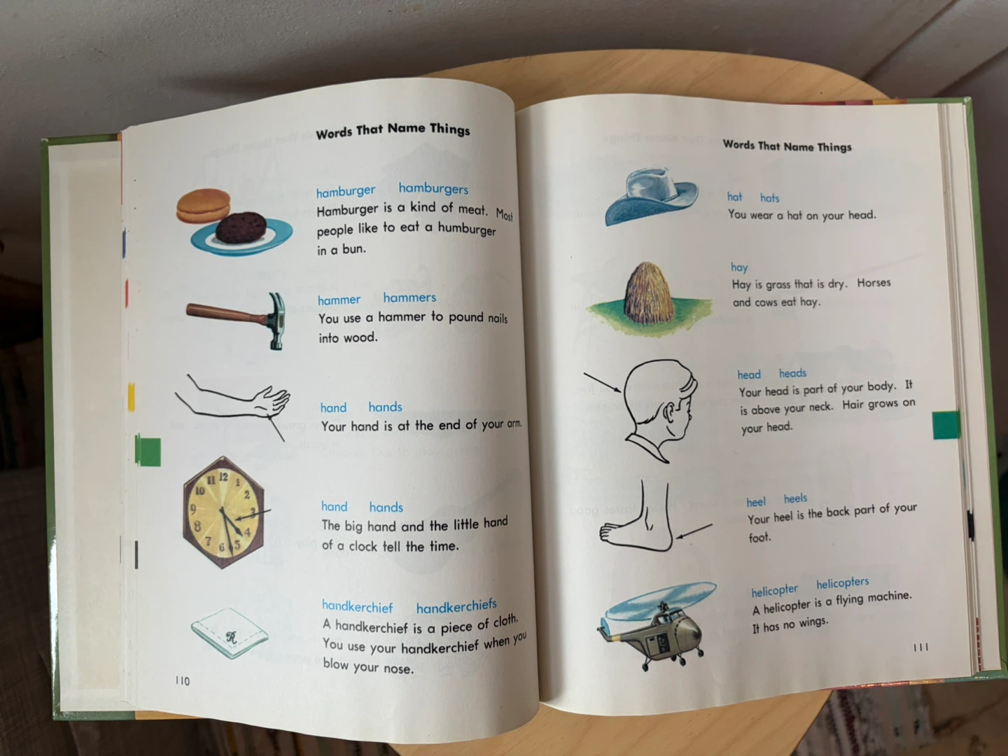 My first picture dictionary - photo 3