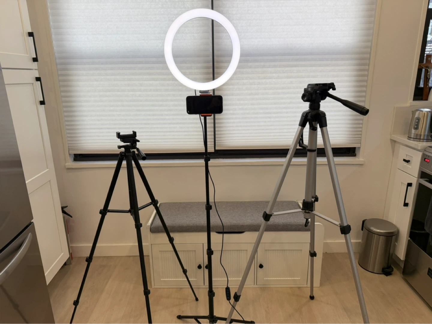 Ring Light and Tripod Set for Content Creation