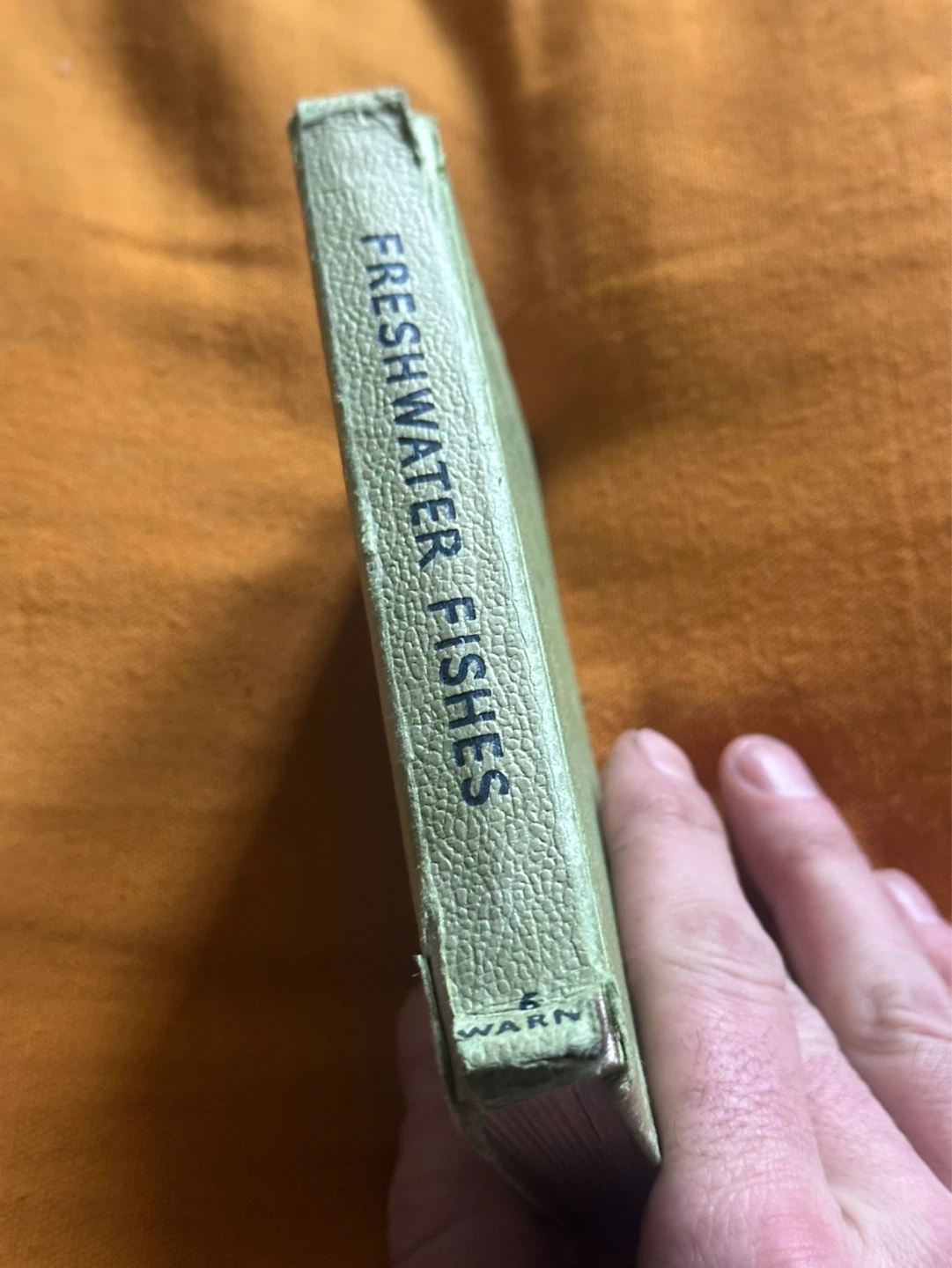 1962 the observer’s book of Freshwater Fishes - photo 2