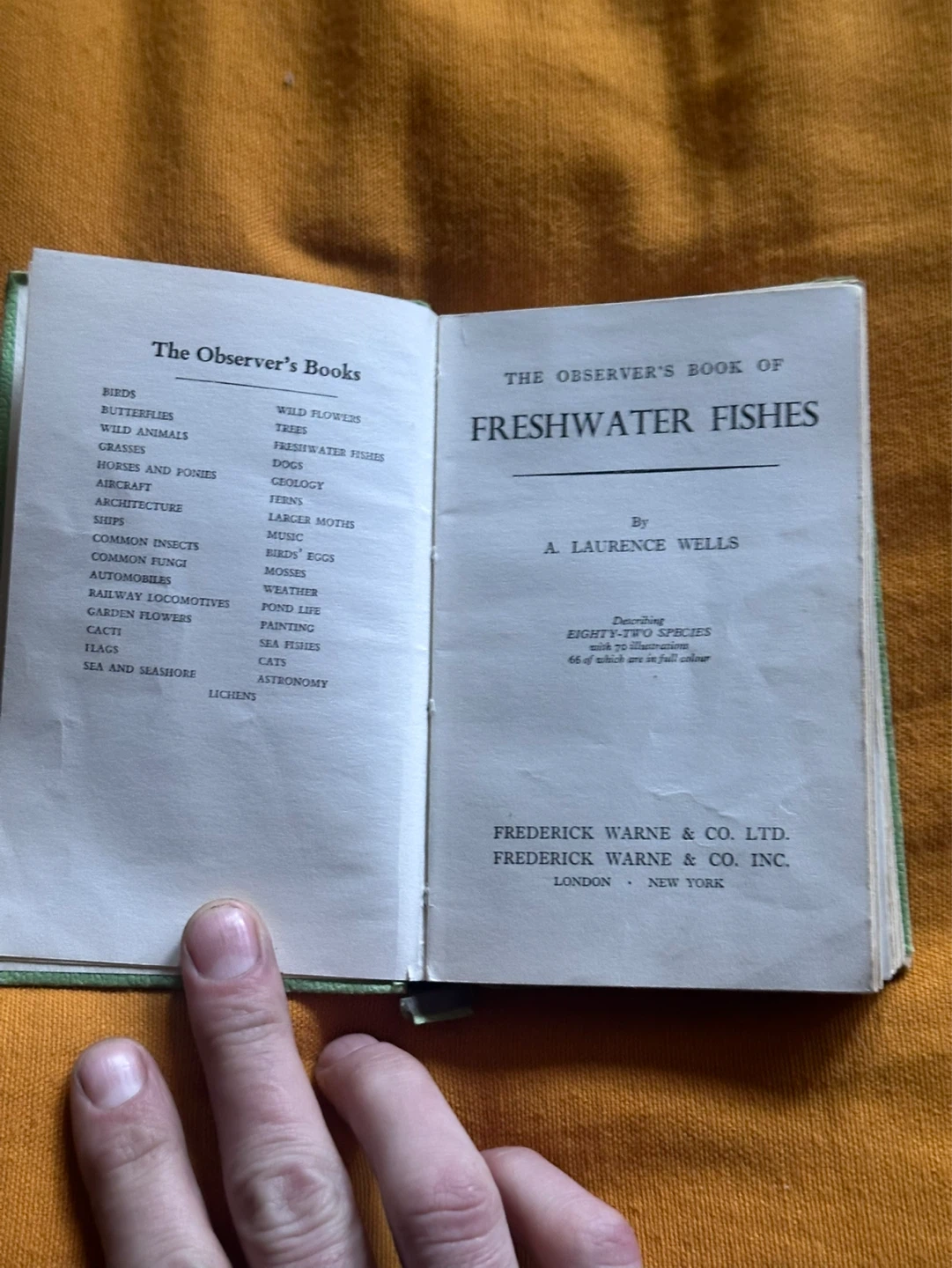 1962 the observer’s book of Freshwater Fishes - photo 4