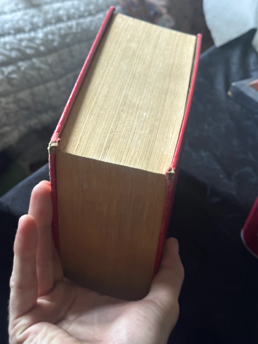1989 Webster’s New Dictionary And Thesaurus - photo 4