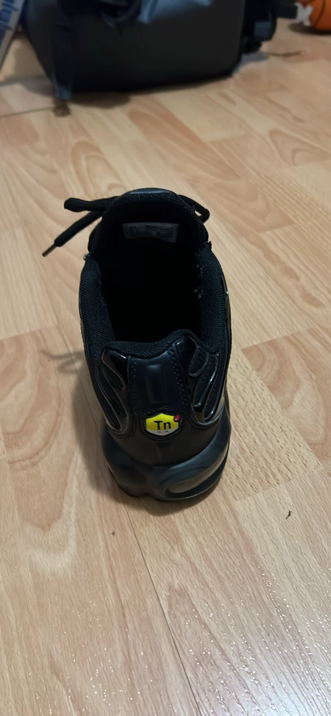 Nike Air Max Plus TN  All Black Sneakers - photo 4
