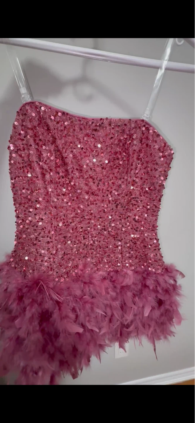 Pink Mini Sequin and Feather Dress
