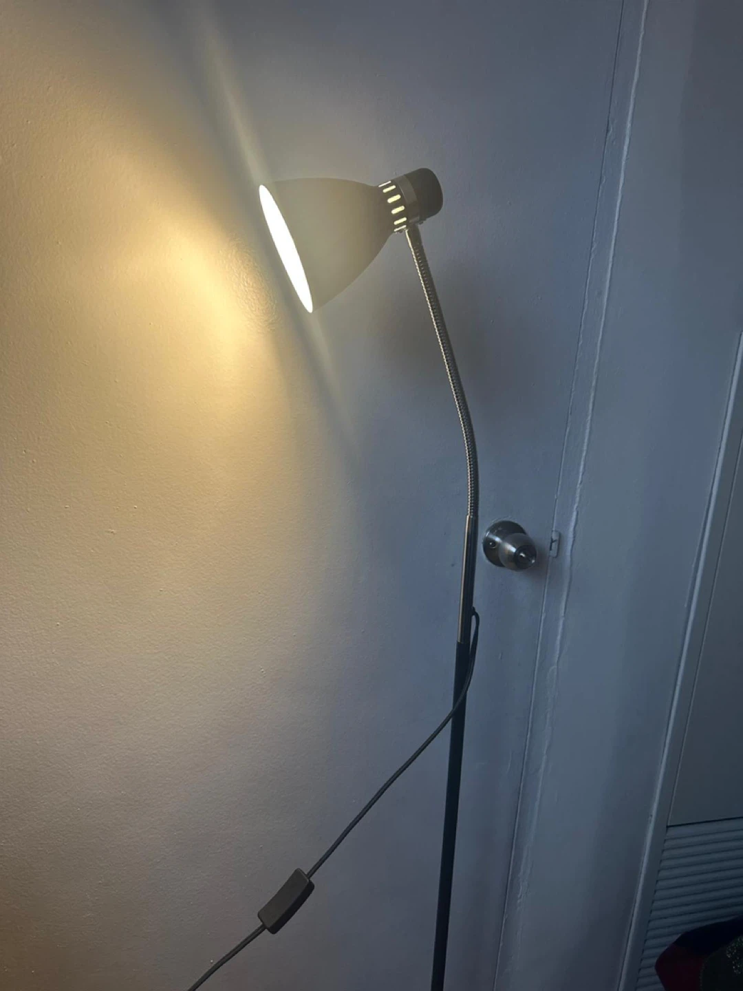 Adjustable Floor Lamp with Gooseneck