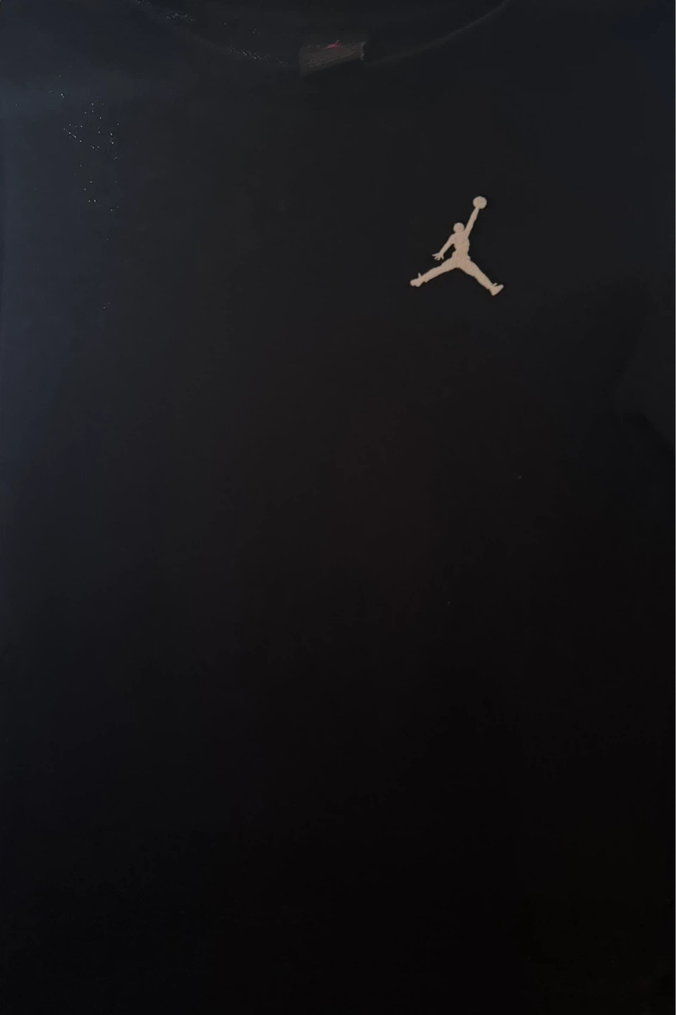 Jordan Long Sleeve Shirt - photo 2