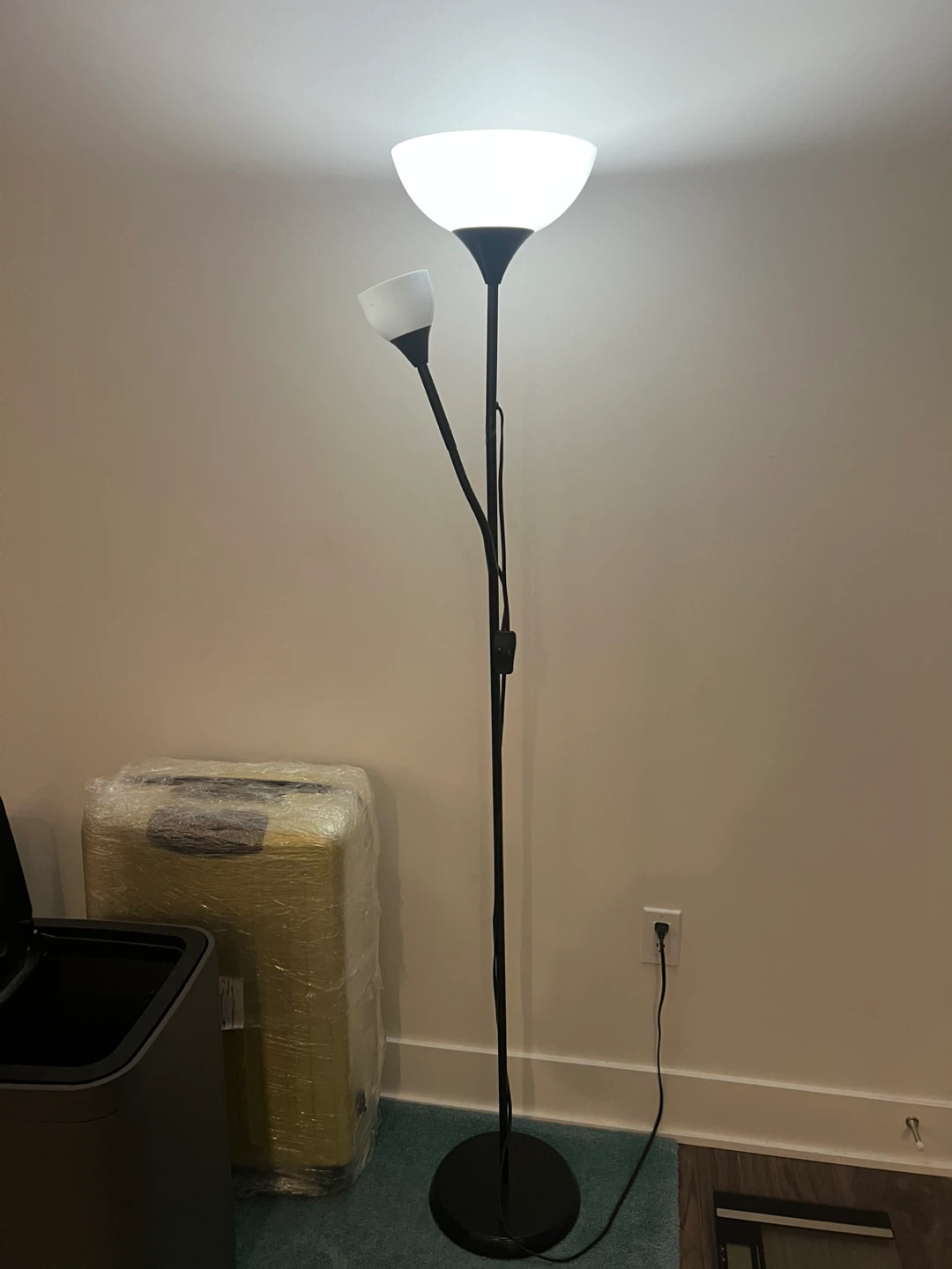 Black Double Head Floor Lamp