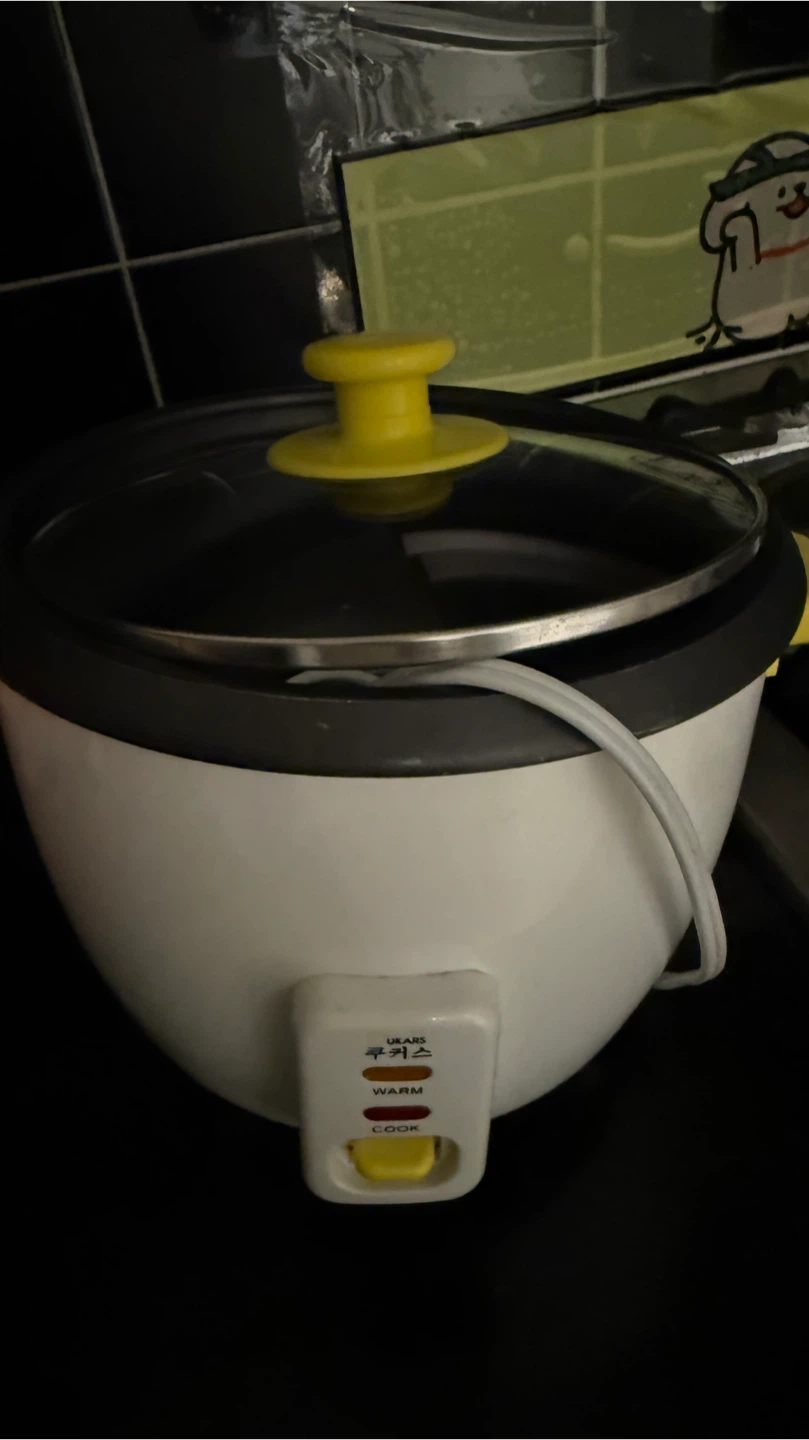 White and Yellow Rice Cooker