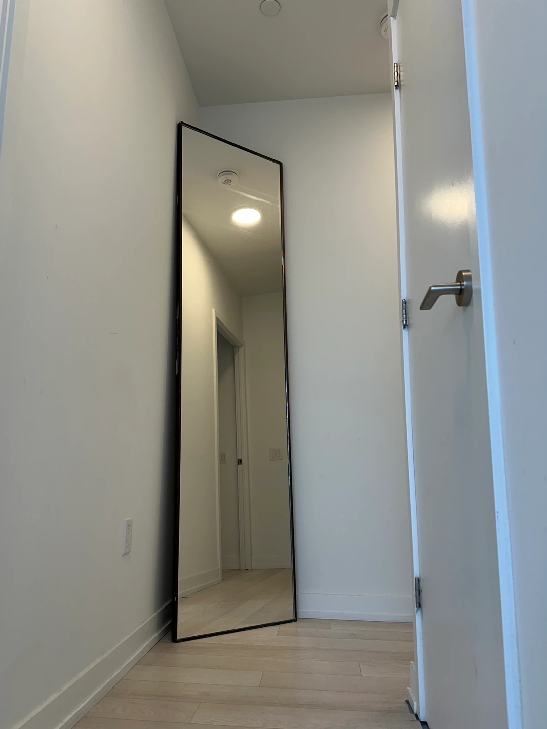 Full Length Standing Mirror with Black Frame - photo 3