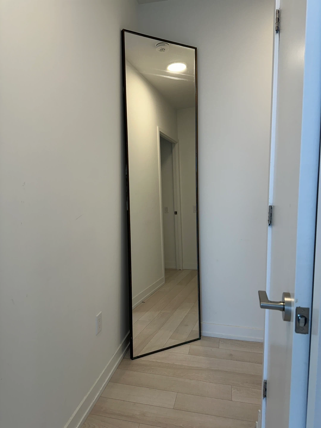 Full Length Standing Mirror with Black Frame - photo 2