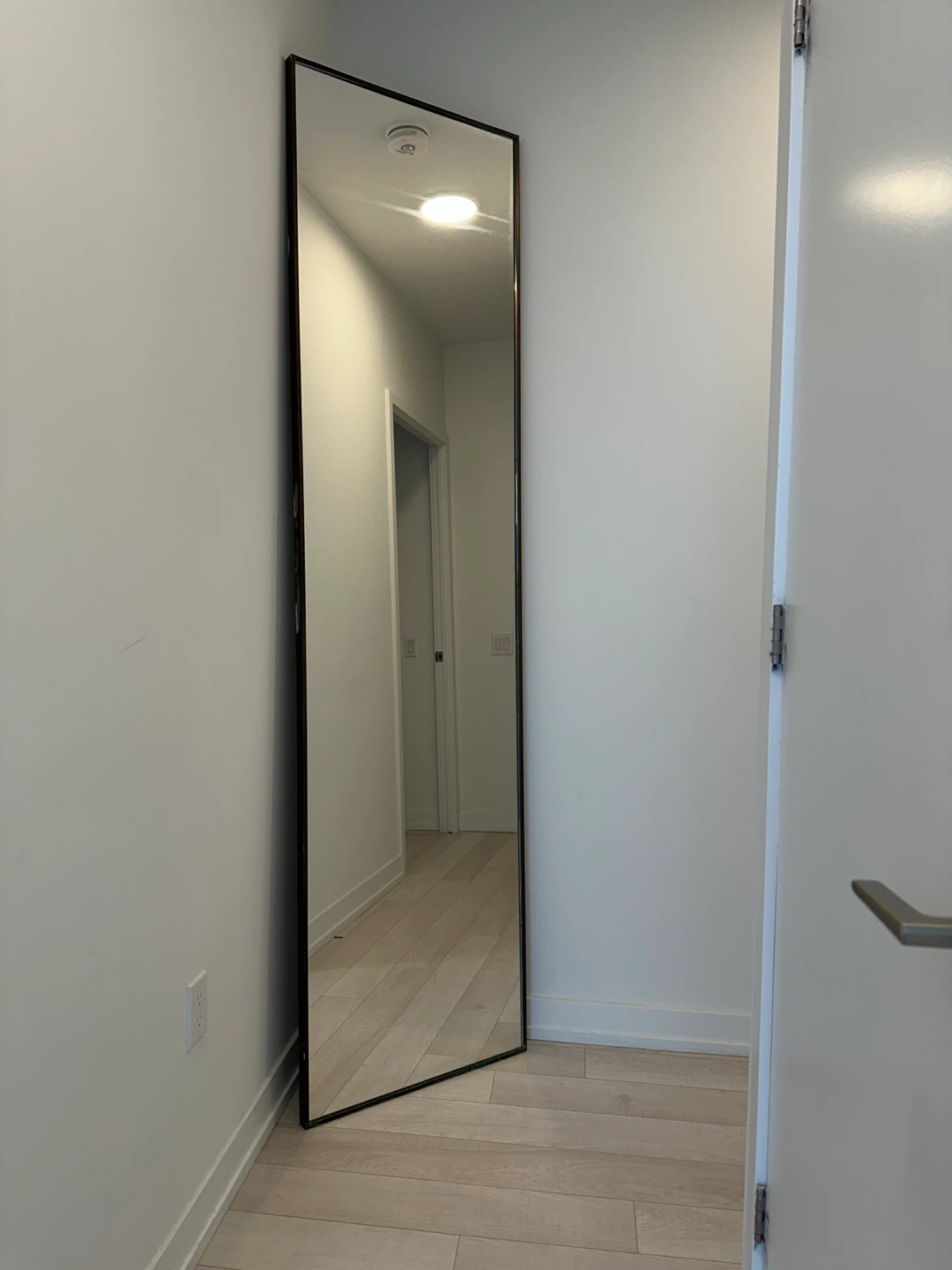 Full Length Standing Mirror with Black Frame - photo 4
