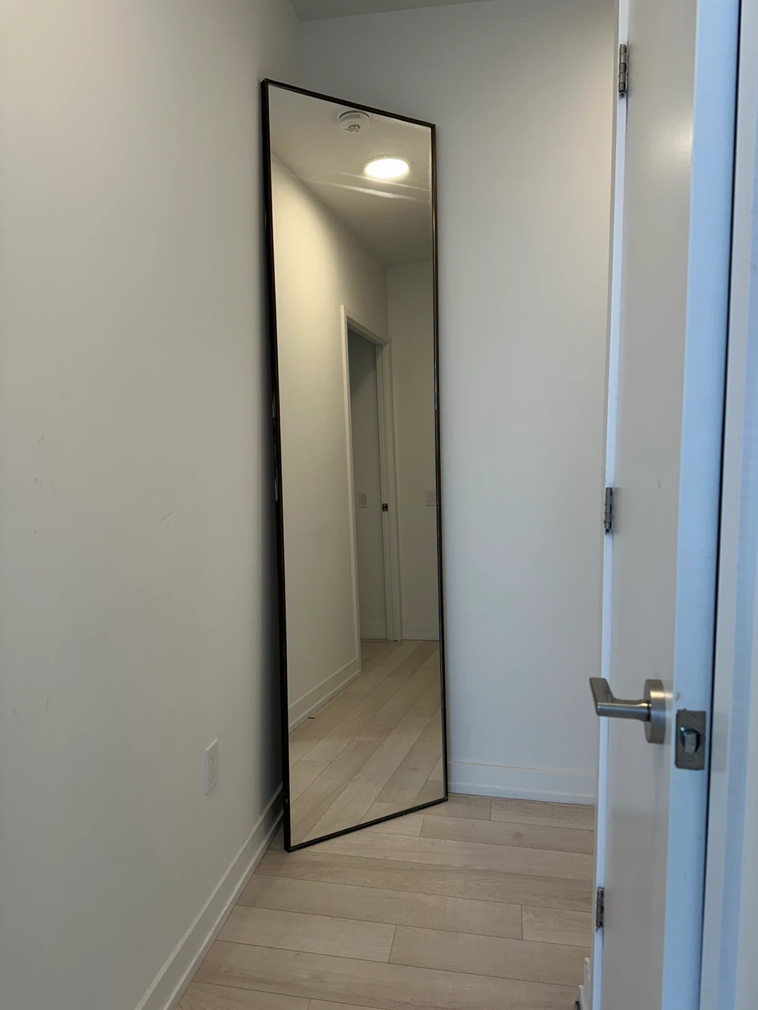 Full Length Standing Mirror with Black Frame