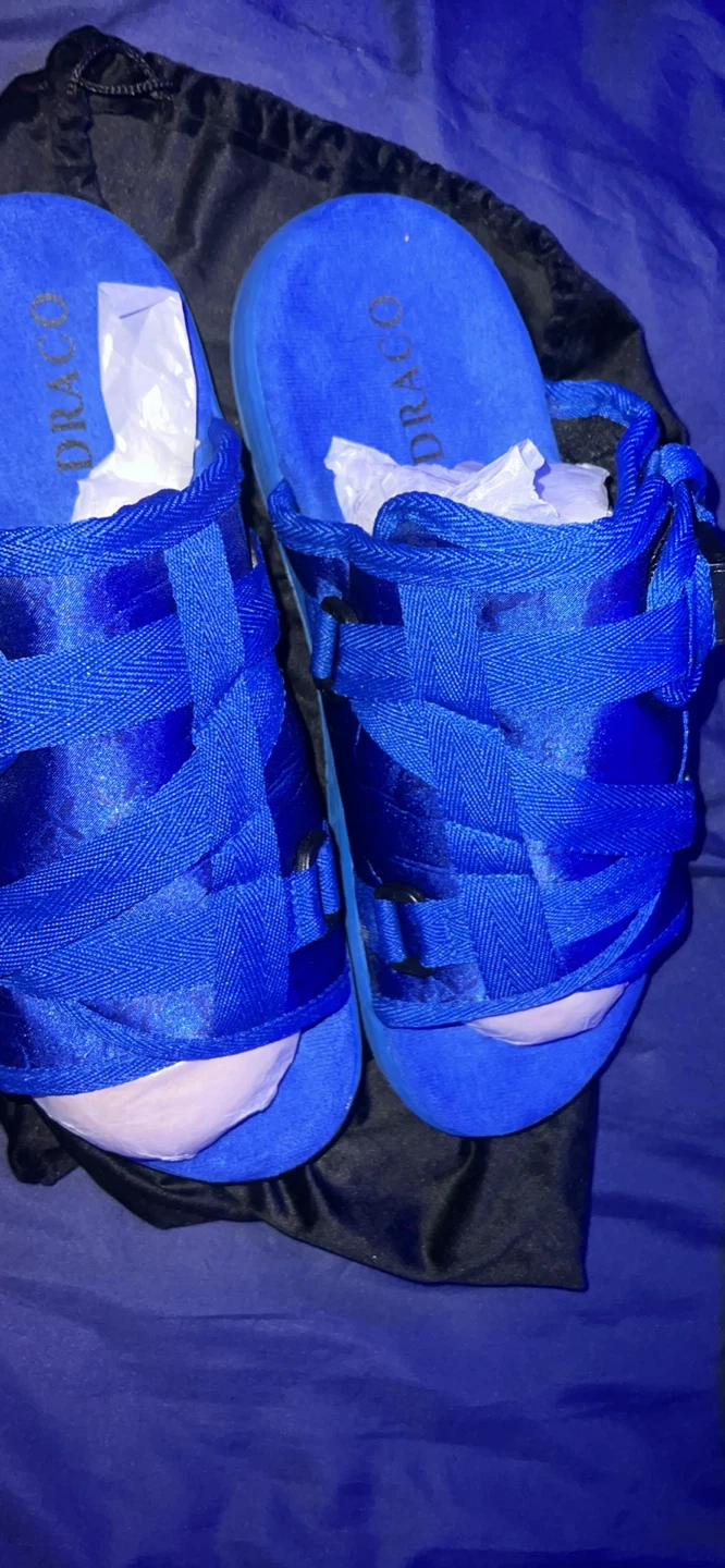 DRACO Slides - Blue