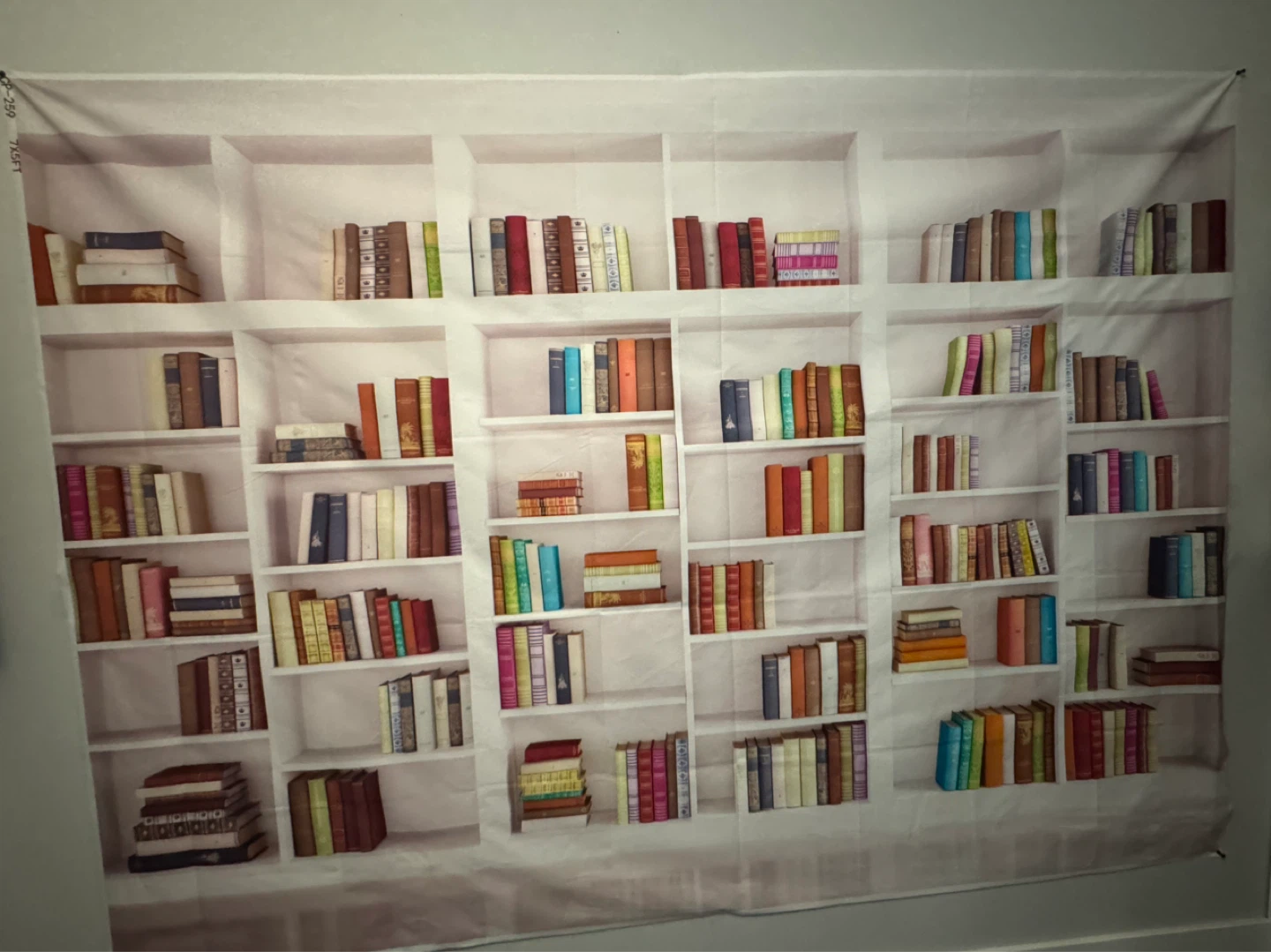 Bookcase Tapestry 7X5FT - photo 3