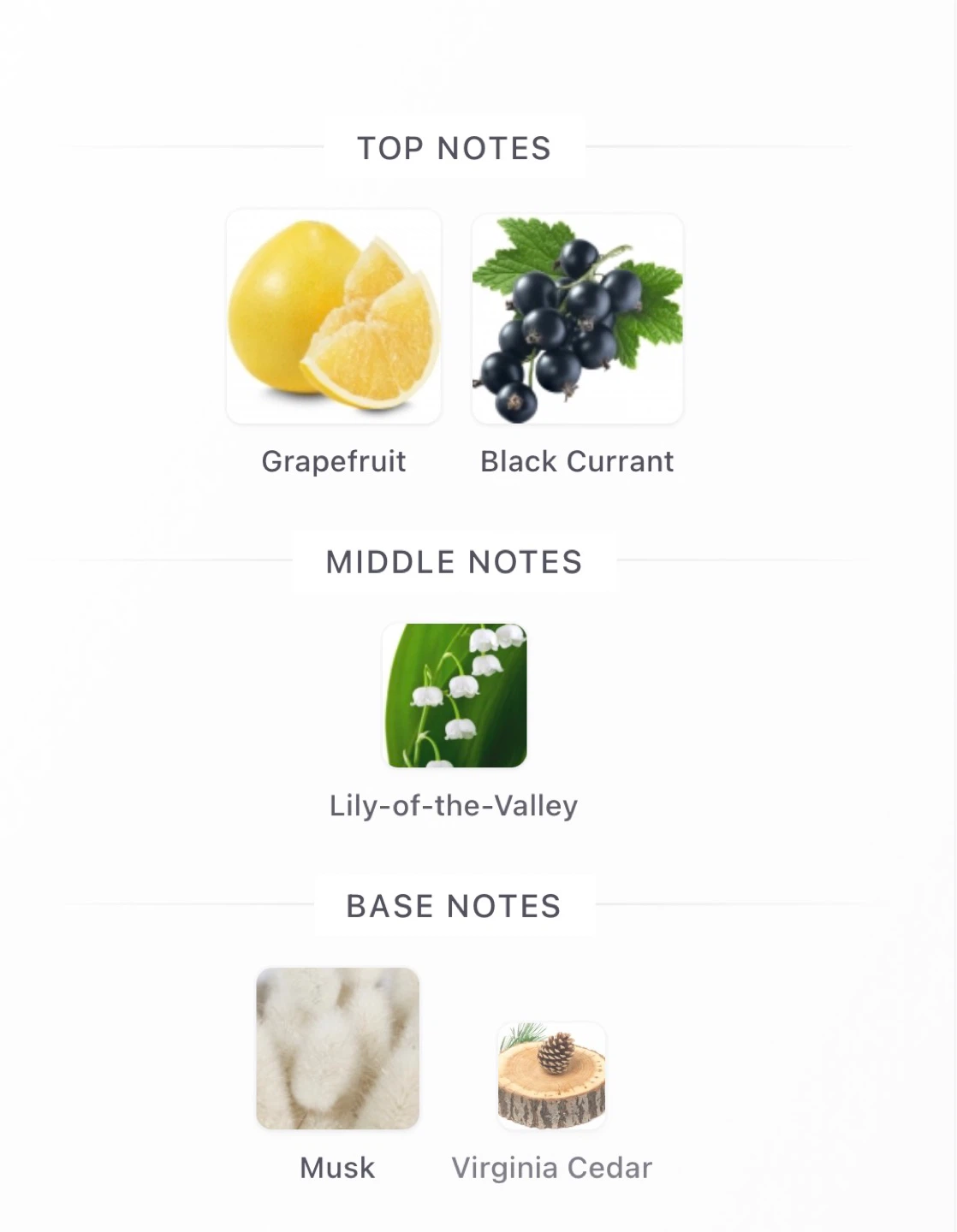 Bond No 9 The Scent Of Peace EDP Spray for Women 100ML - photo 4