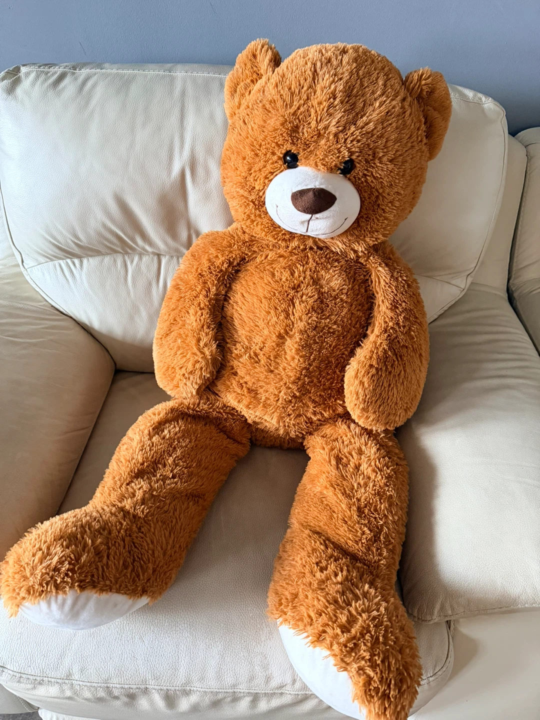 Large Plush Teddy Bear
