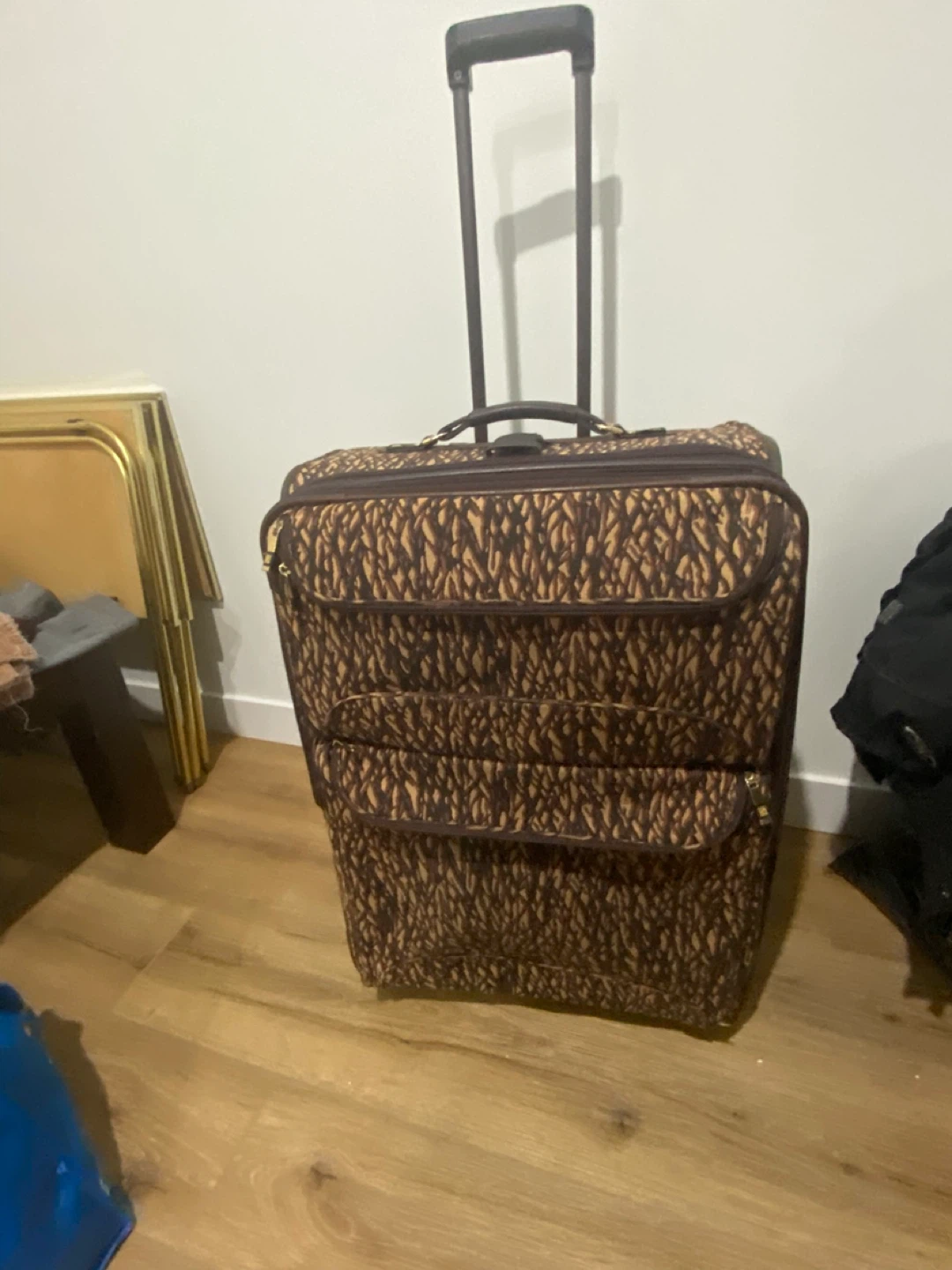 Ricardo Beverly Hills Rolling Suitcase