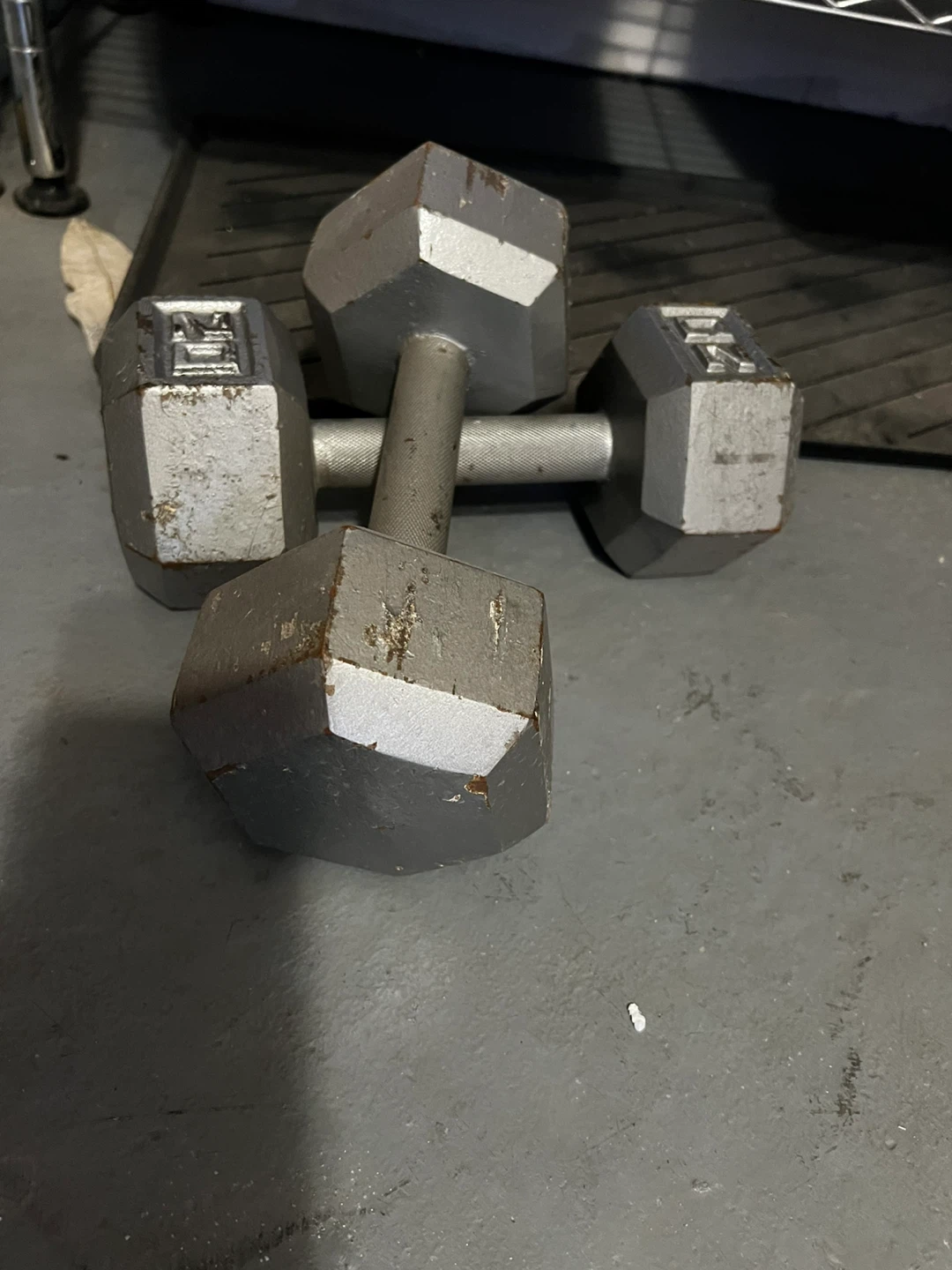 20 lb Dumbbells (Pair)