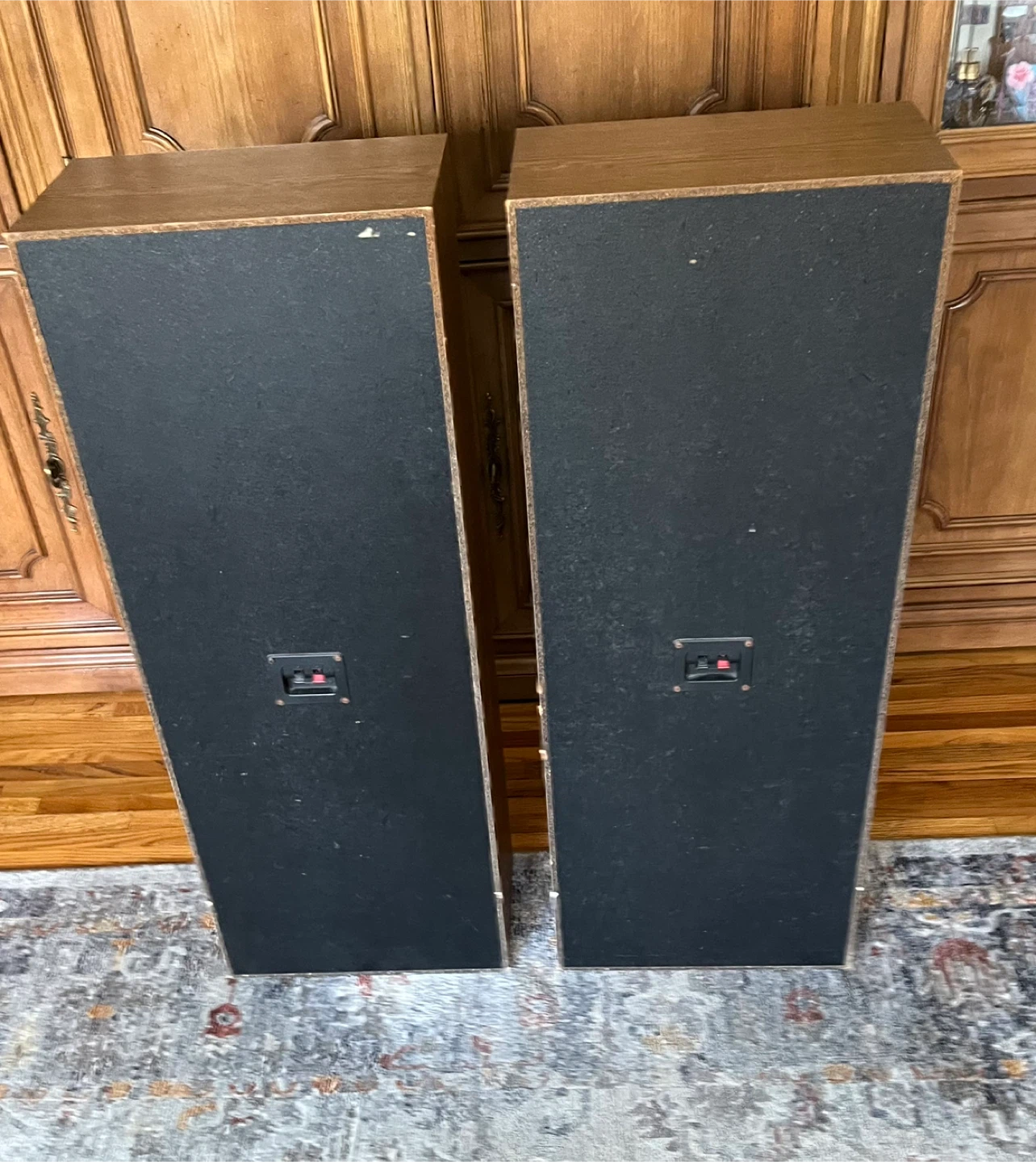 Nice Floor Speakers - photo 2