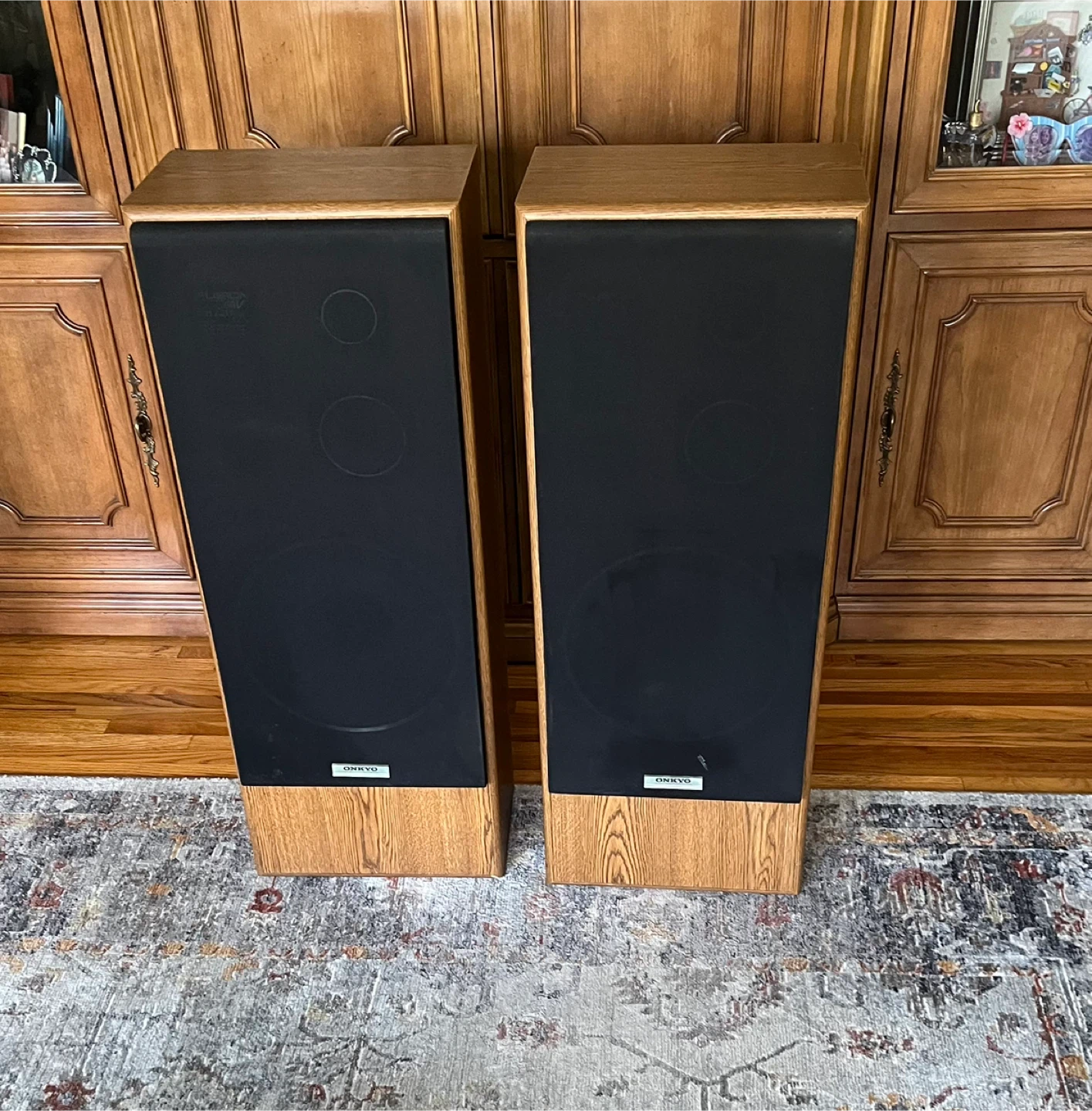 Nice Floor Speakers