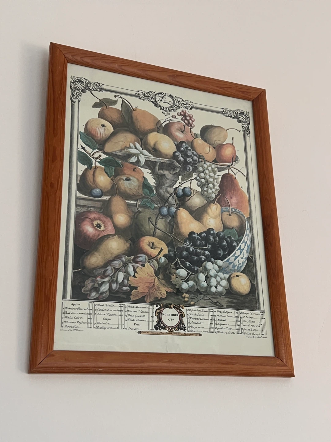 Framed "November 1789" Fruit Still Life Print