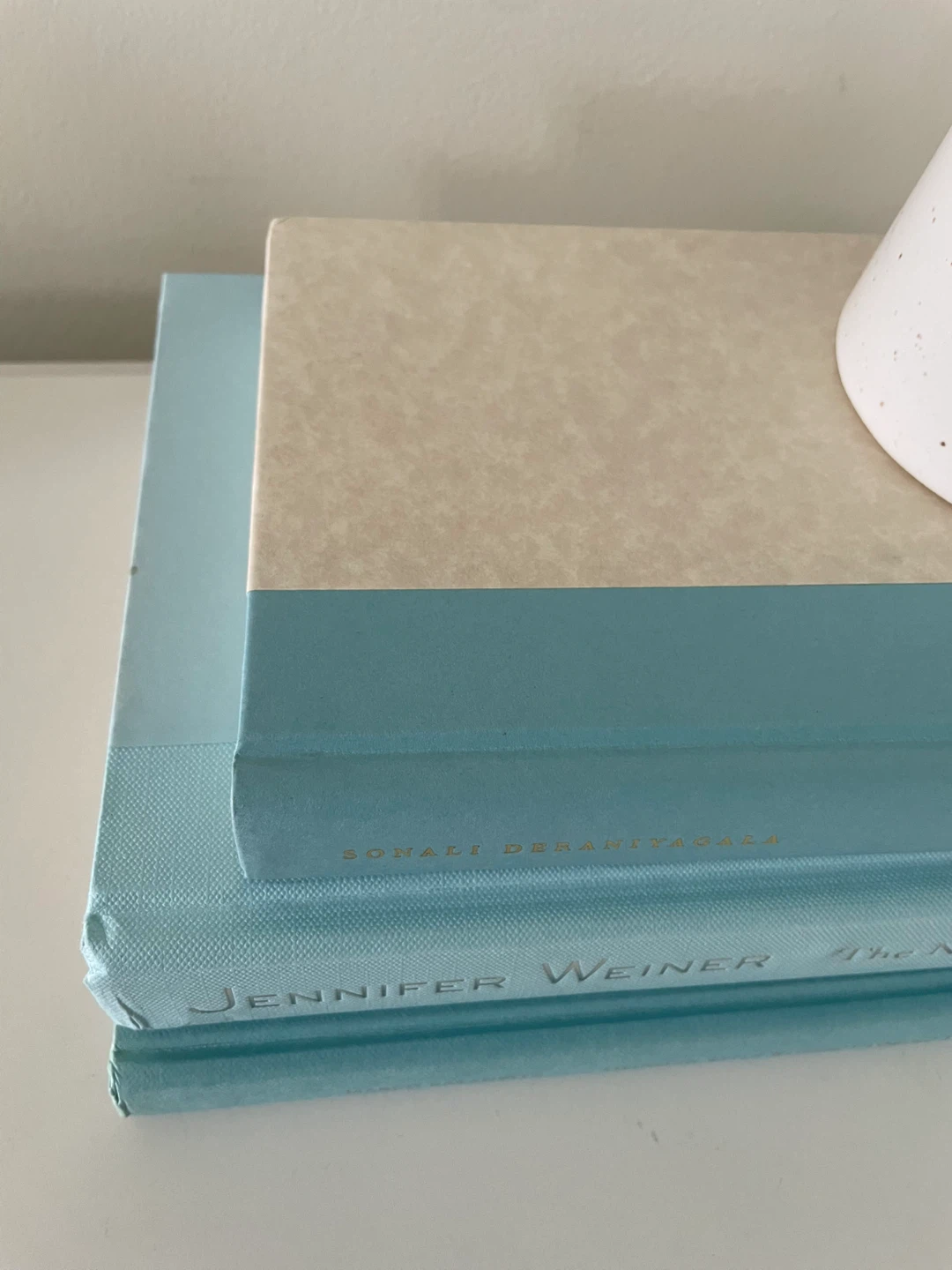 Light Blue Book Stack  - real hardcover books - photo 3