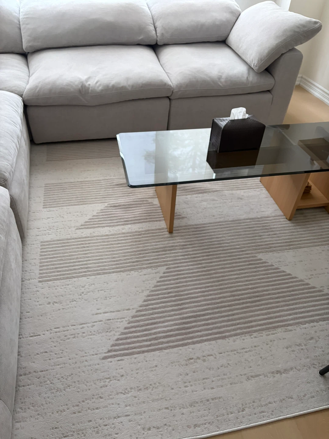 Area Rug - Neutral Stripes and Geometric Pattern