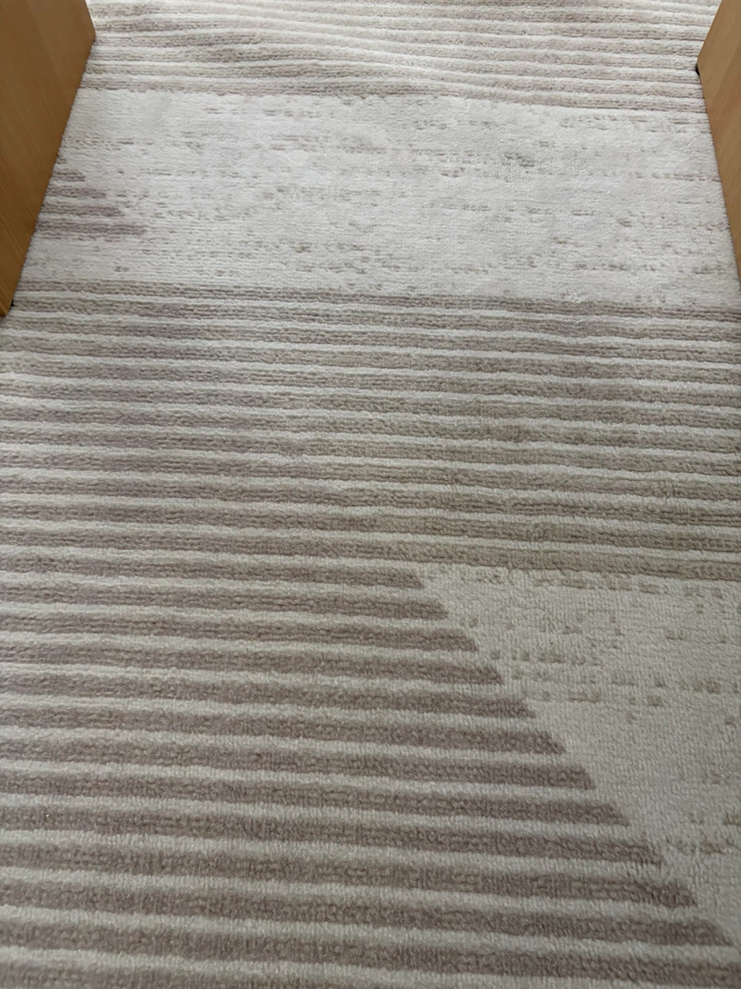 Area Rug - Neutral Stripes and Geometric Pattern - photo 2