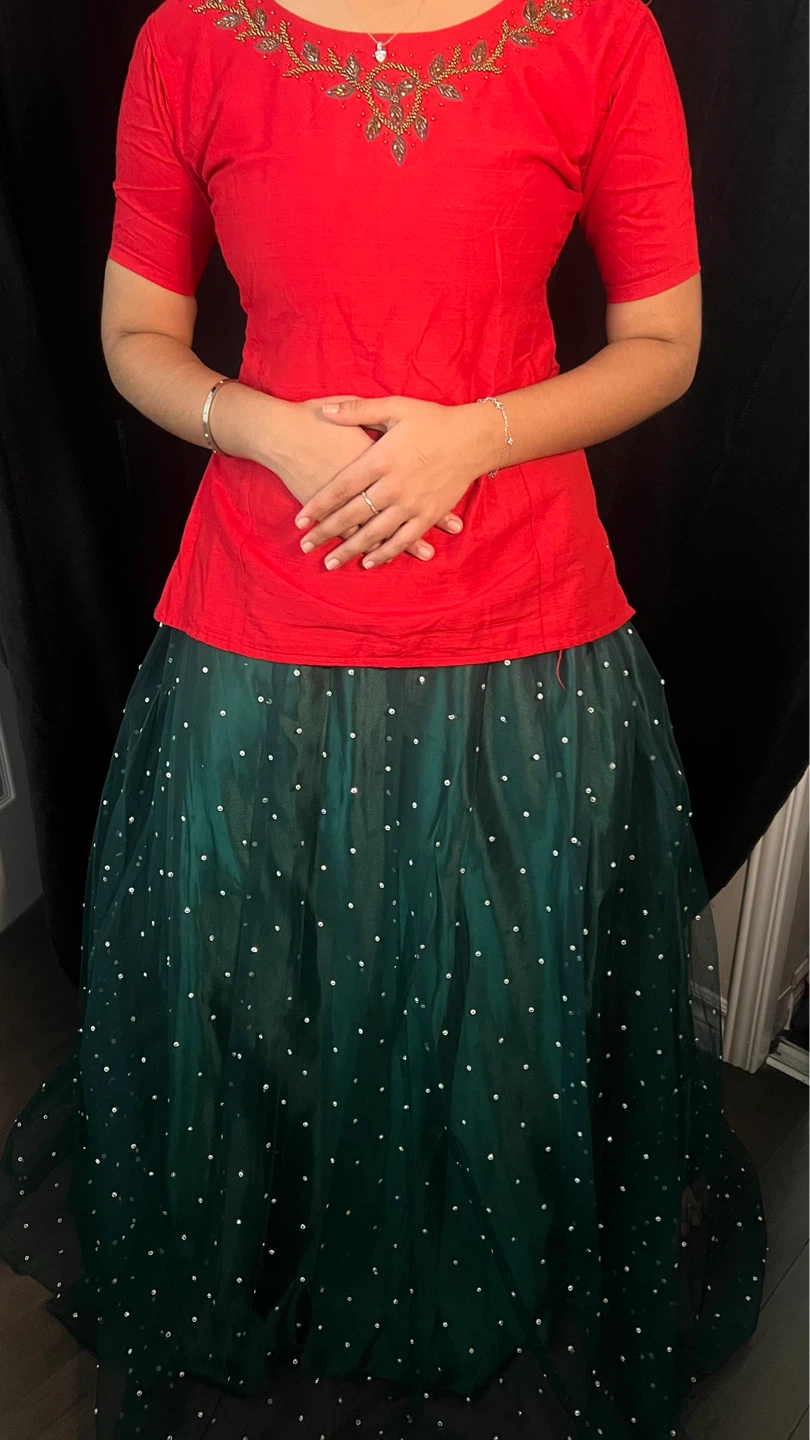 Red and Green Beaded Top with Embellished Skirt Rental