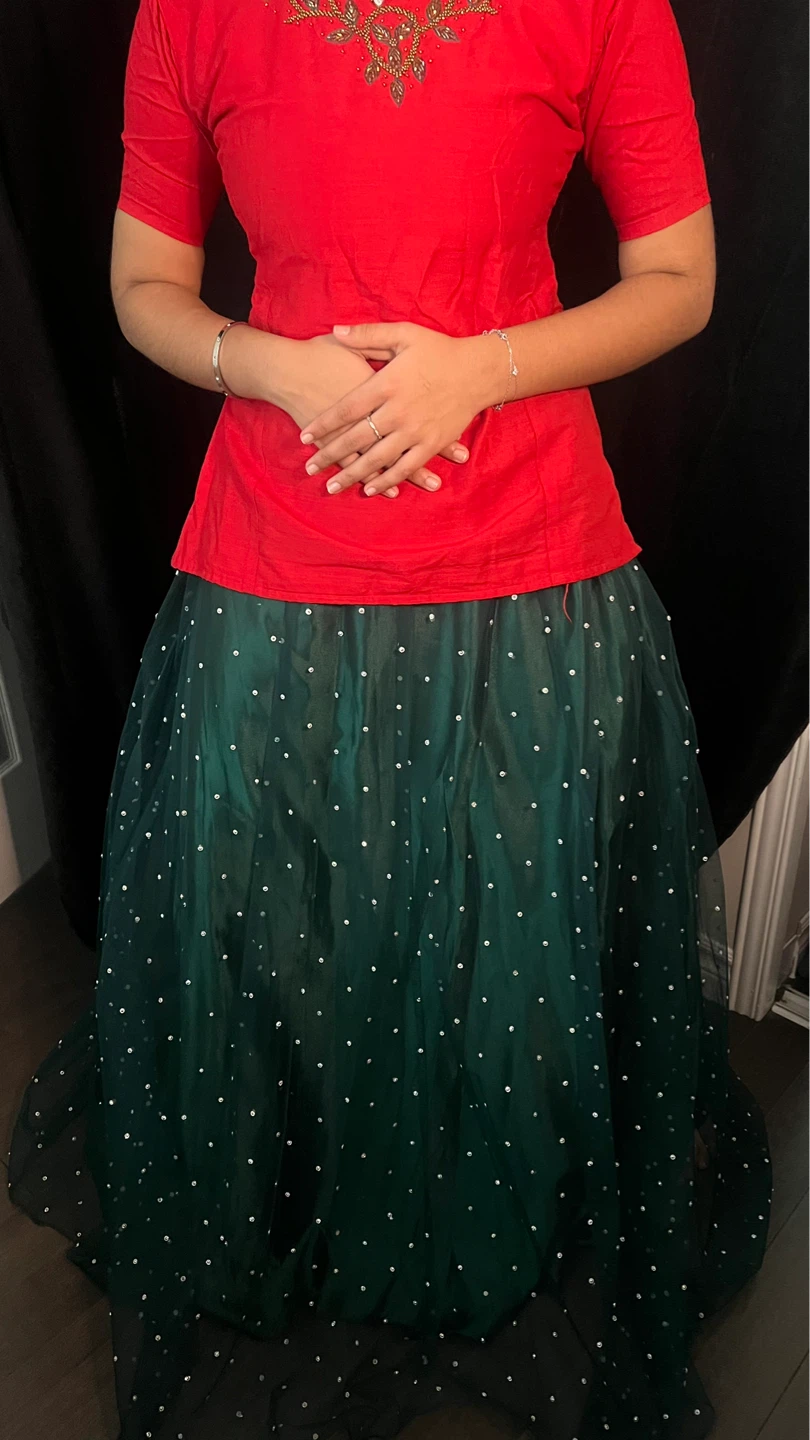 Red and Green Beaded Top with Embellished Skirt Rental - photo 2