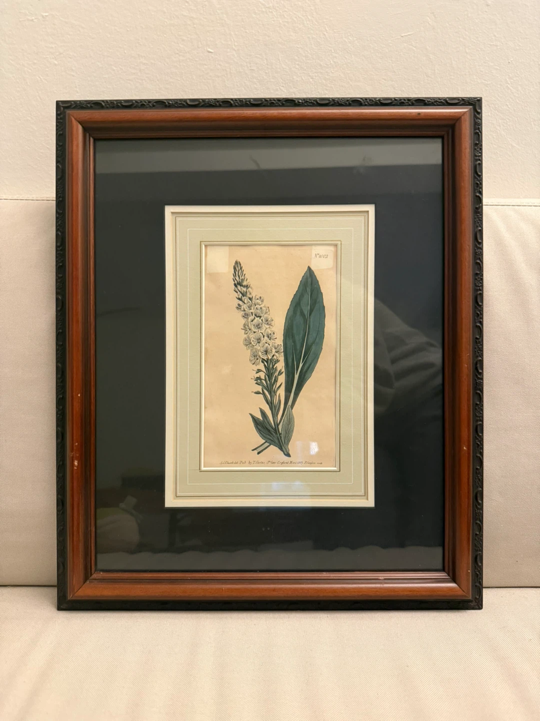 Framed Botanical Print - photo 2