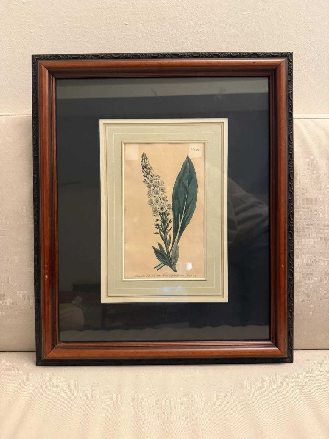 Framed Botanical Print