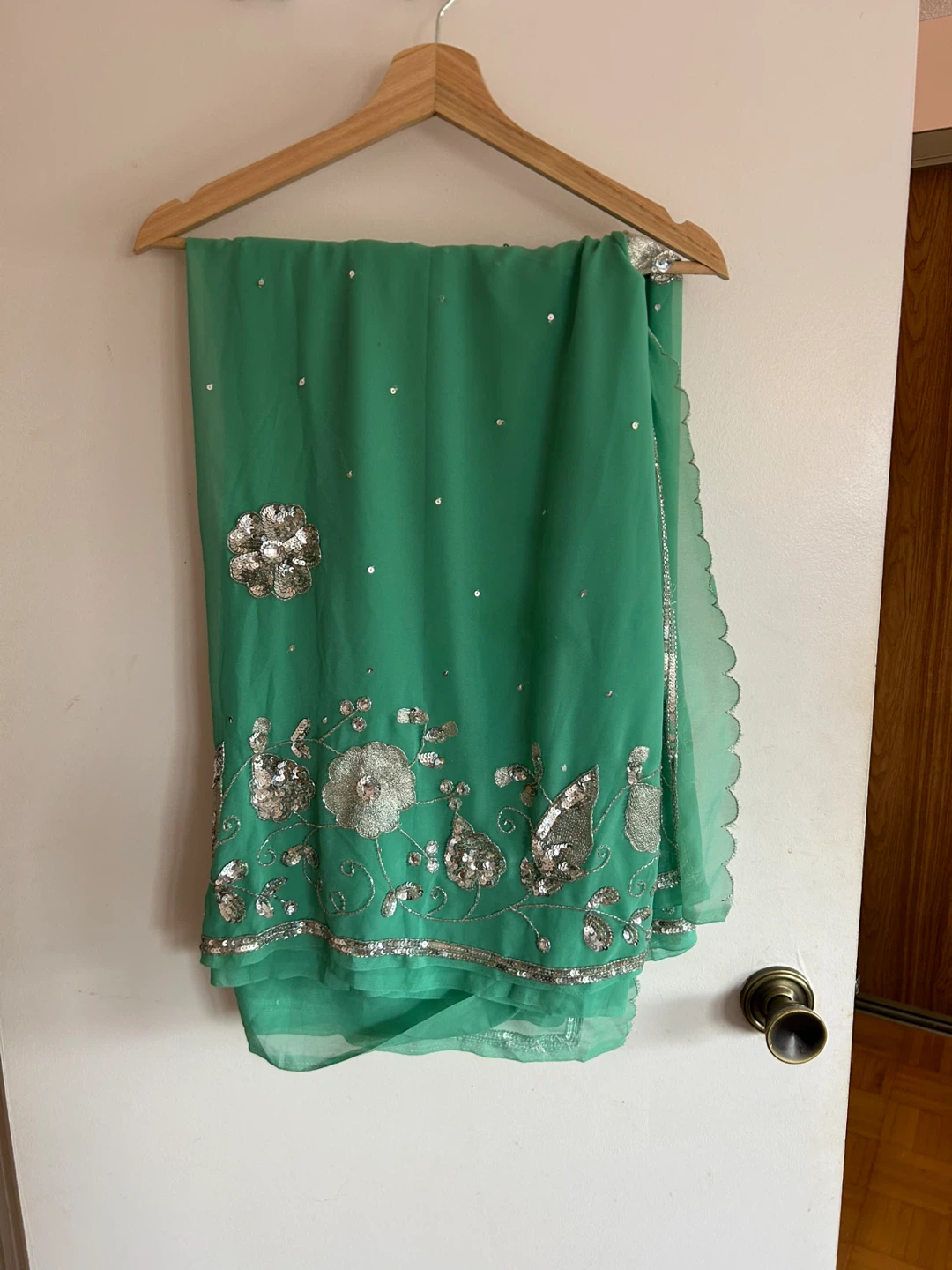 Turquoise Green Saree with Silver Embellishments