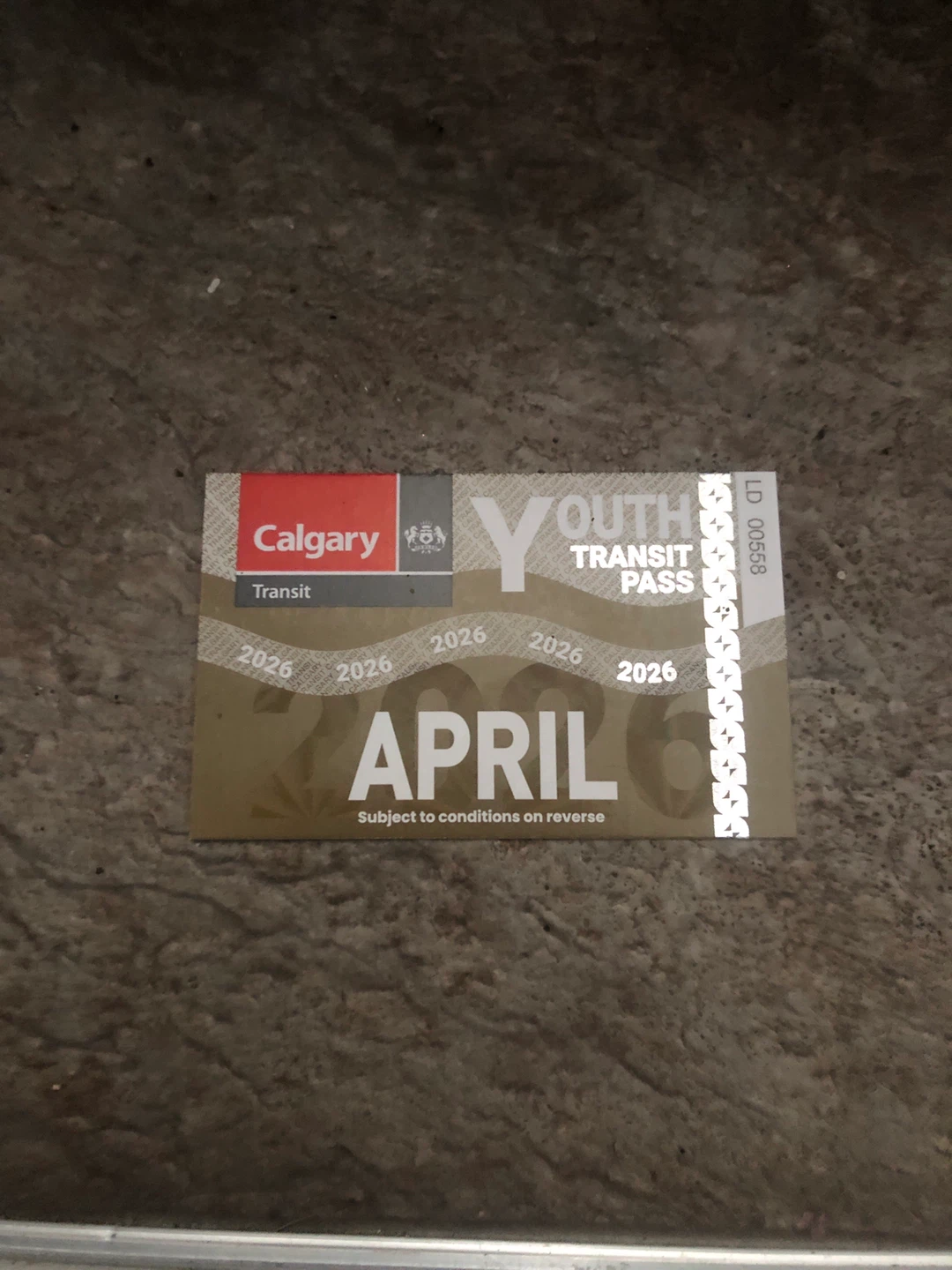 April youth transit pass