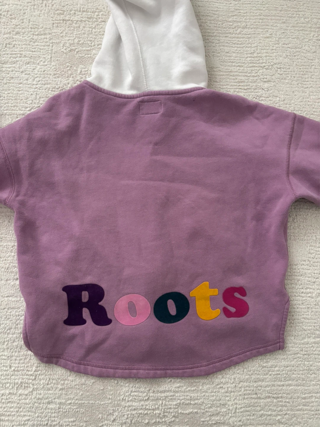 Roots Zip-Up Hoodie - photo 2