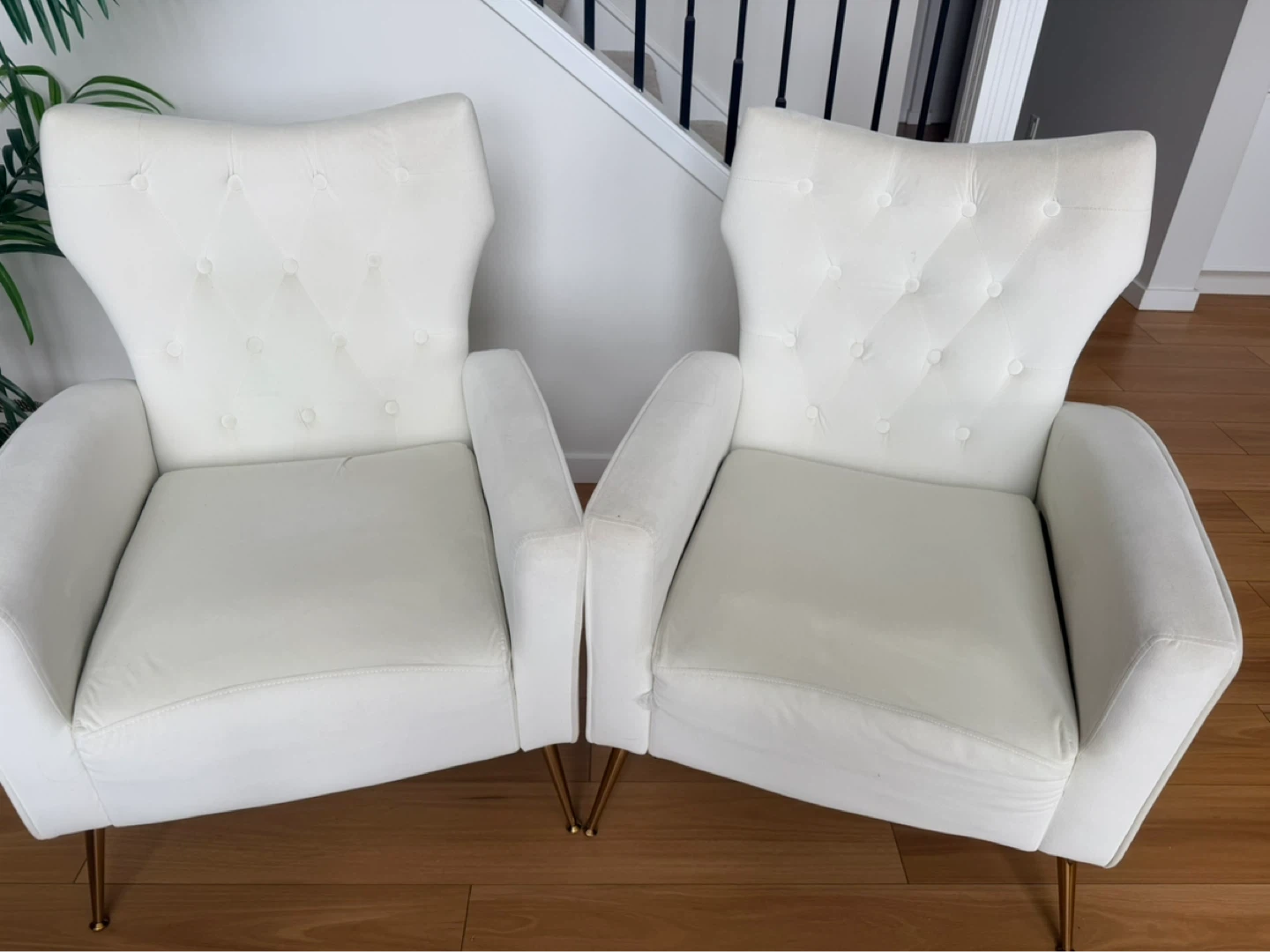 Pair of White Velvet Armchairs with Gold Legs
