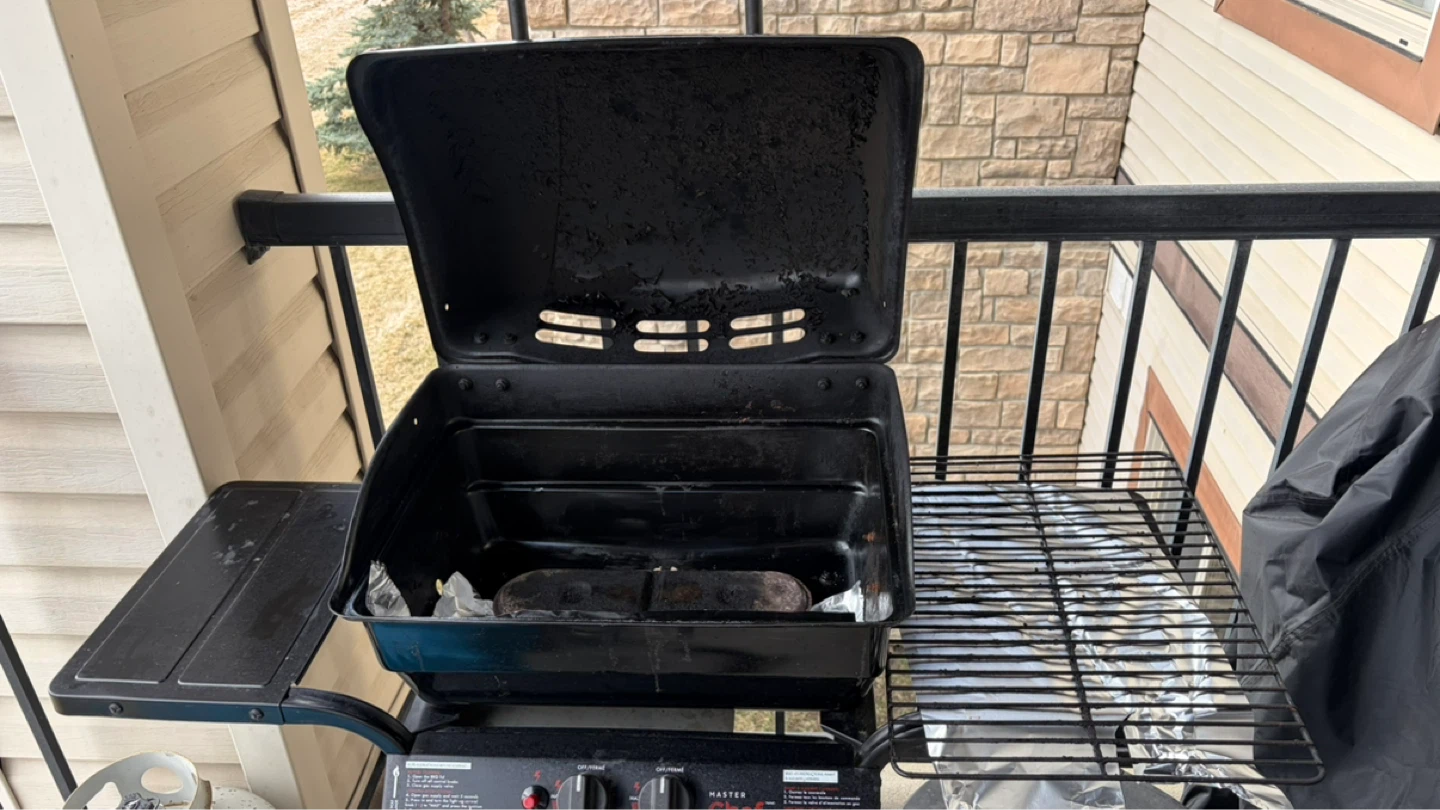 Free BBQ - photo 4