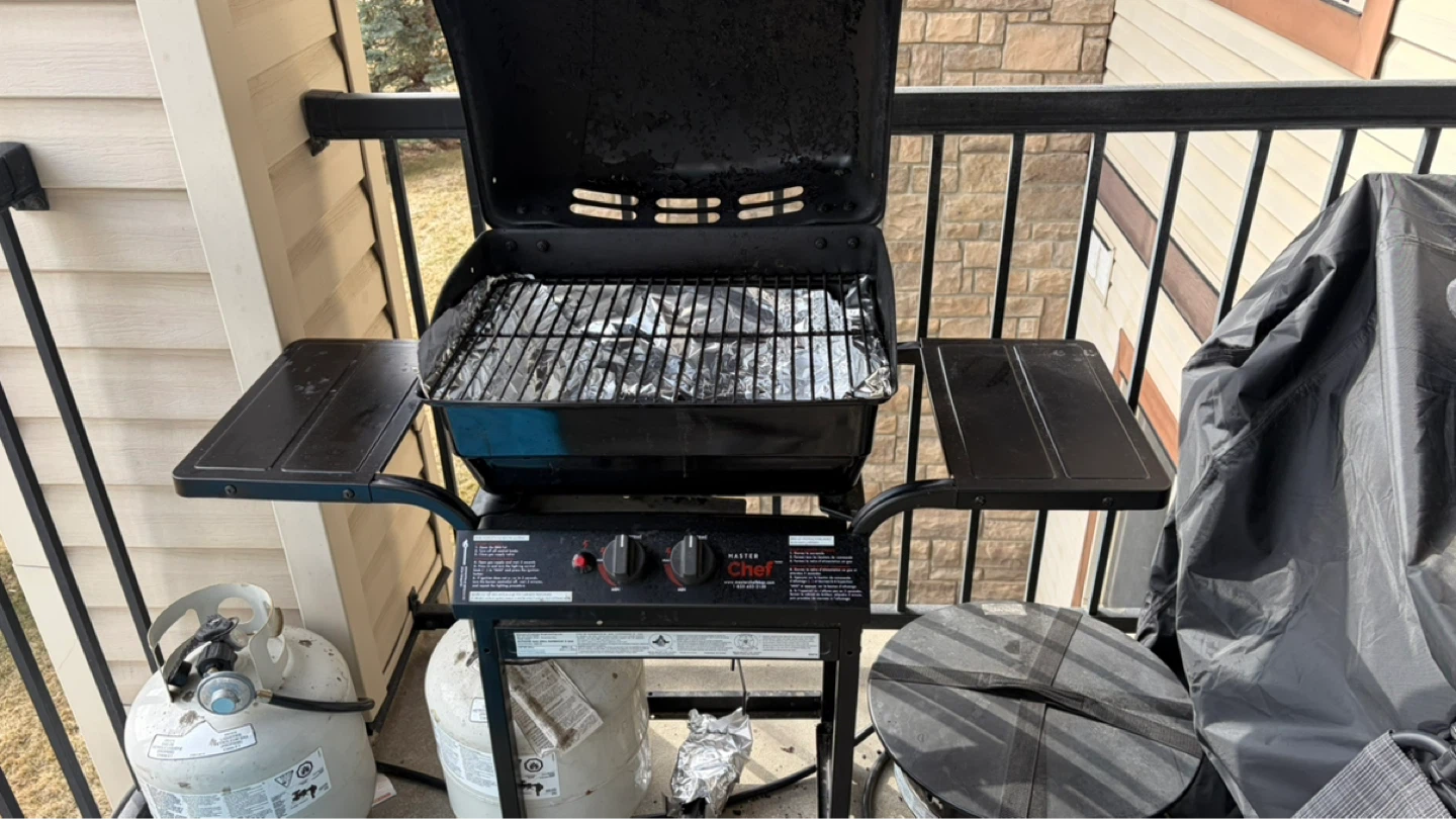 Free BBQ - photo 5