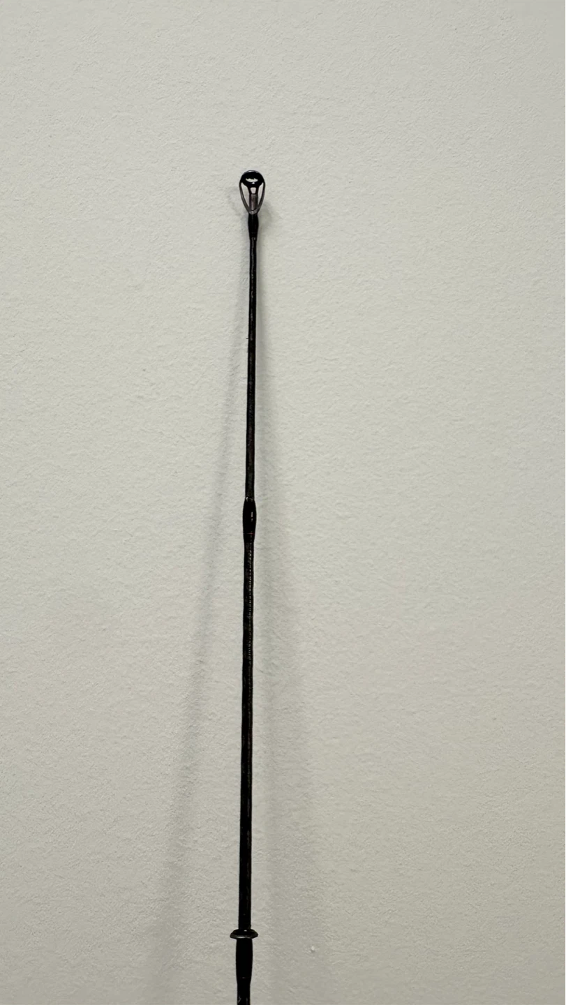 Shimano Zodias Casting Rod - photo 4