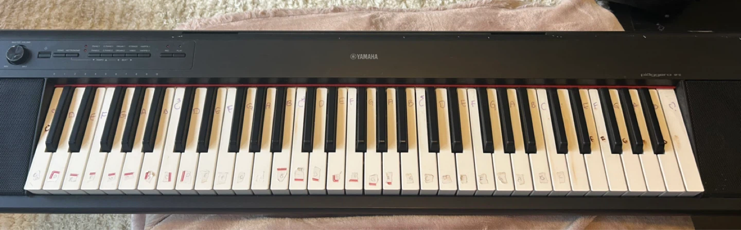 Yamaha Portable Keyboard & travel bag