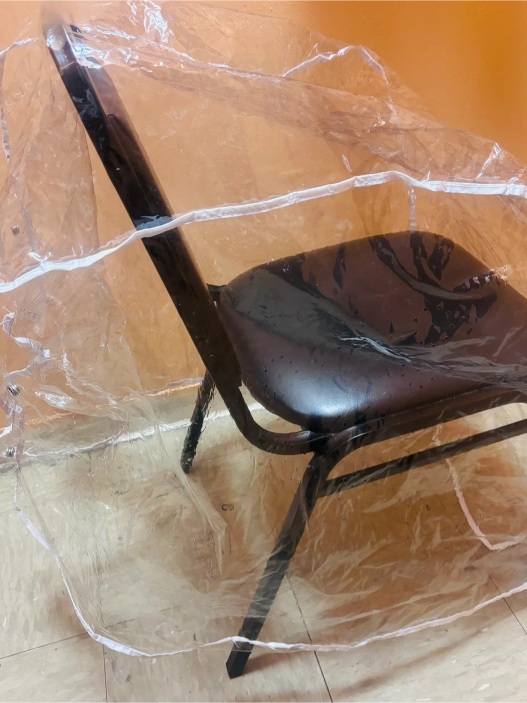 Clear Vinyl Baby Stroller Cover - photo 3