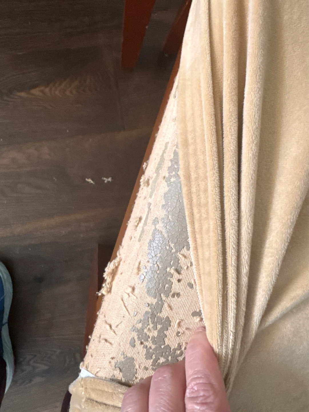 $5 each one. Dining Chairs (Set of 8)- Beige Velour Slipcovers - photo 4