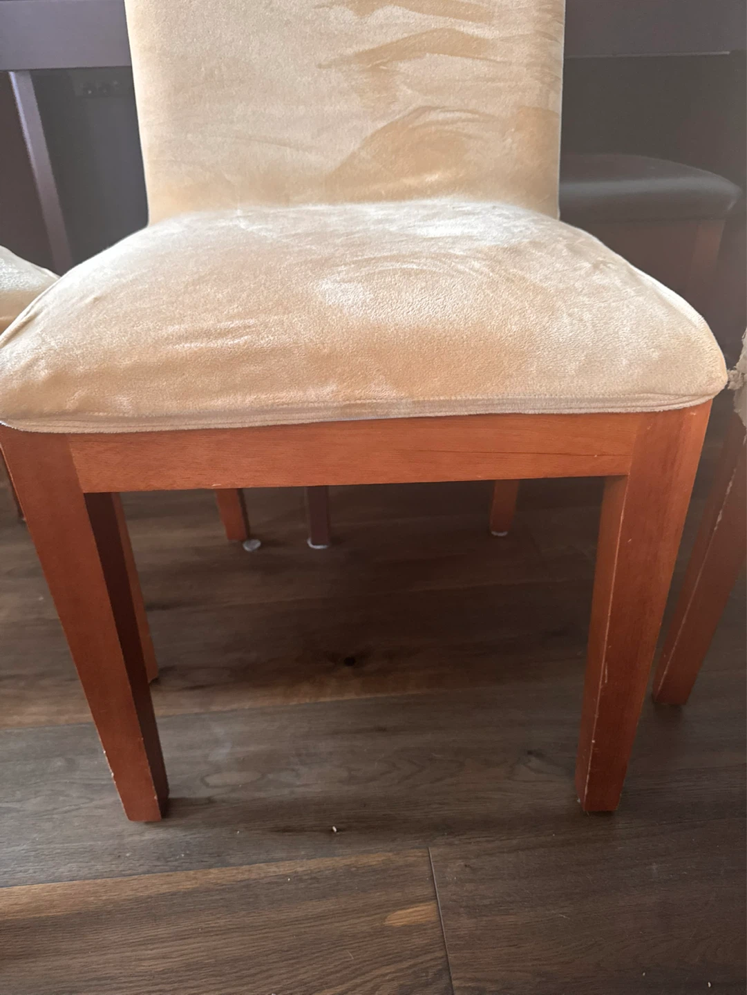 $5 each one. Dining Chairs (Set of 8)- Beige Velour Slipcovers - photo 3