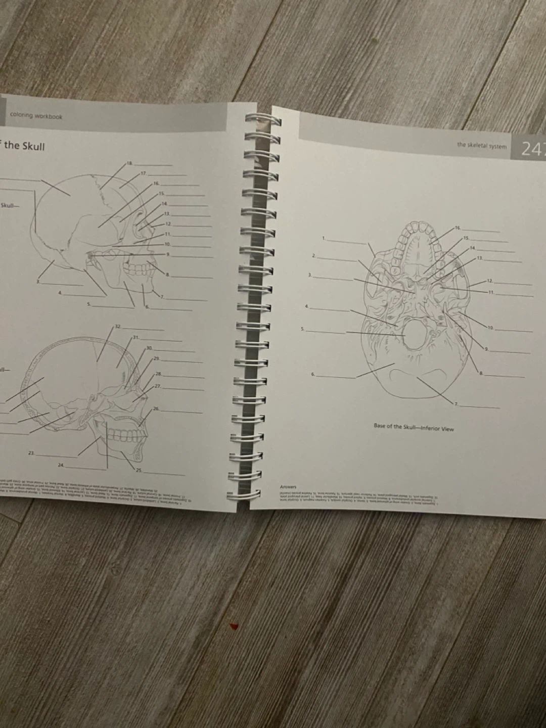 Barron's The Anatomy Student's Self-test Visual Dictionary - photo 3
