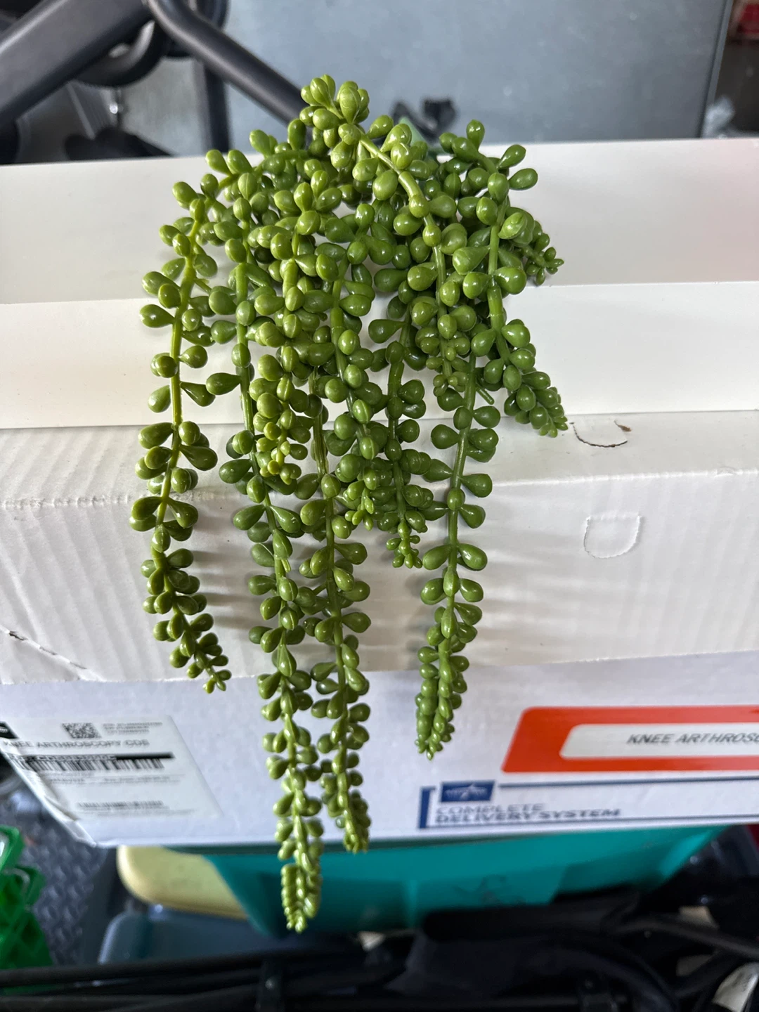 Green Artificial Succulent Plant - photo 2
